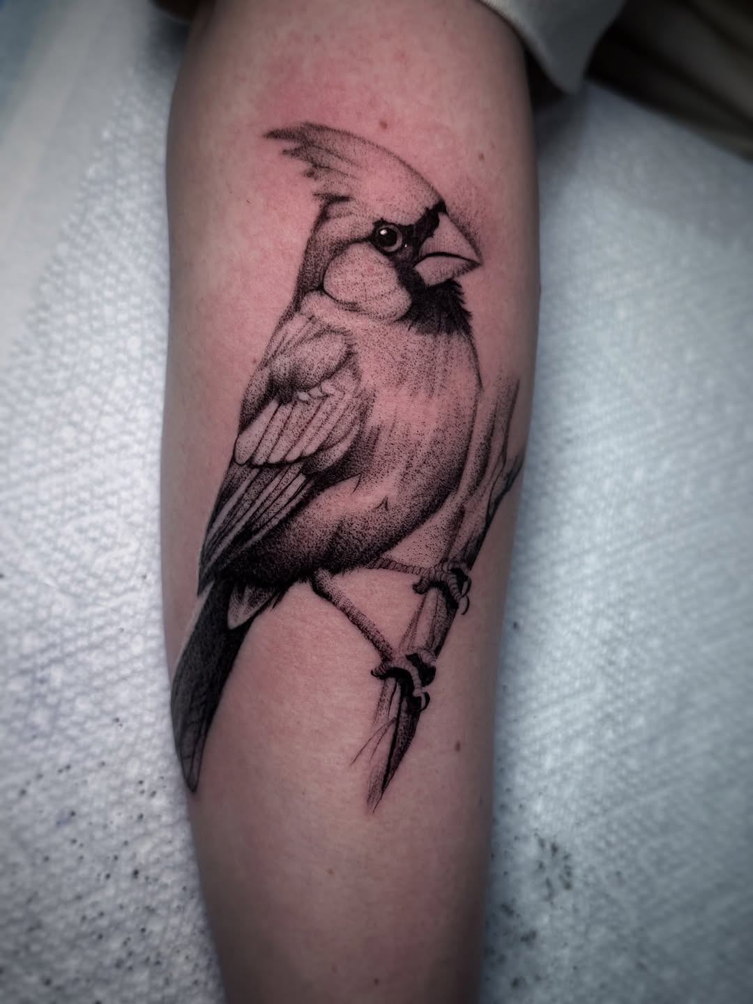 Tattoo by @davidgraytattoo — realism, dotwork