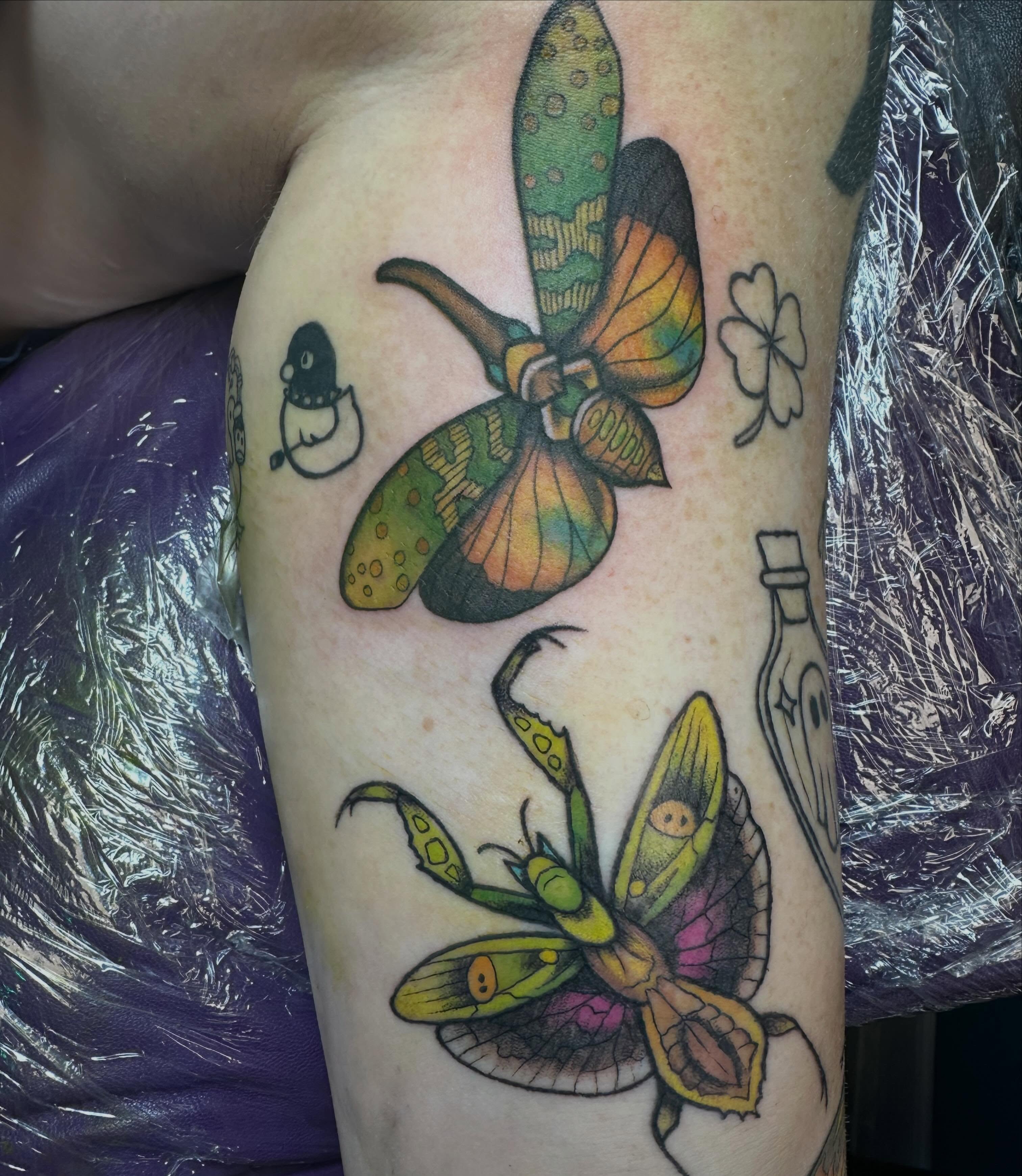Insects American traditional tattoo on the forearm by Mikaila Jean