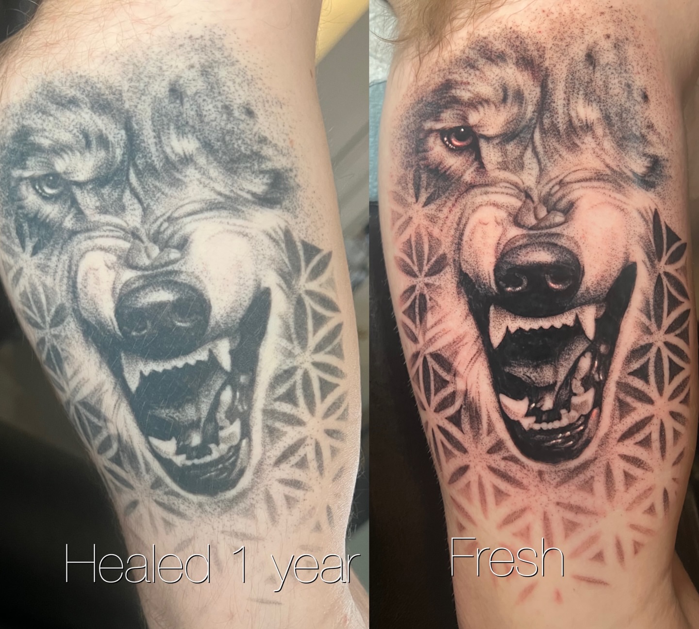 Tattoo by @smokesart — dotwork, realism