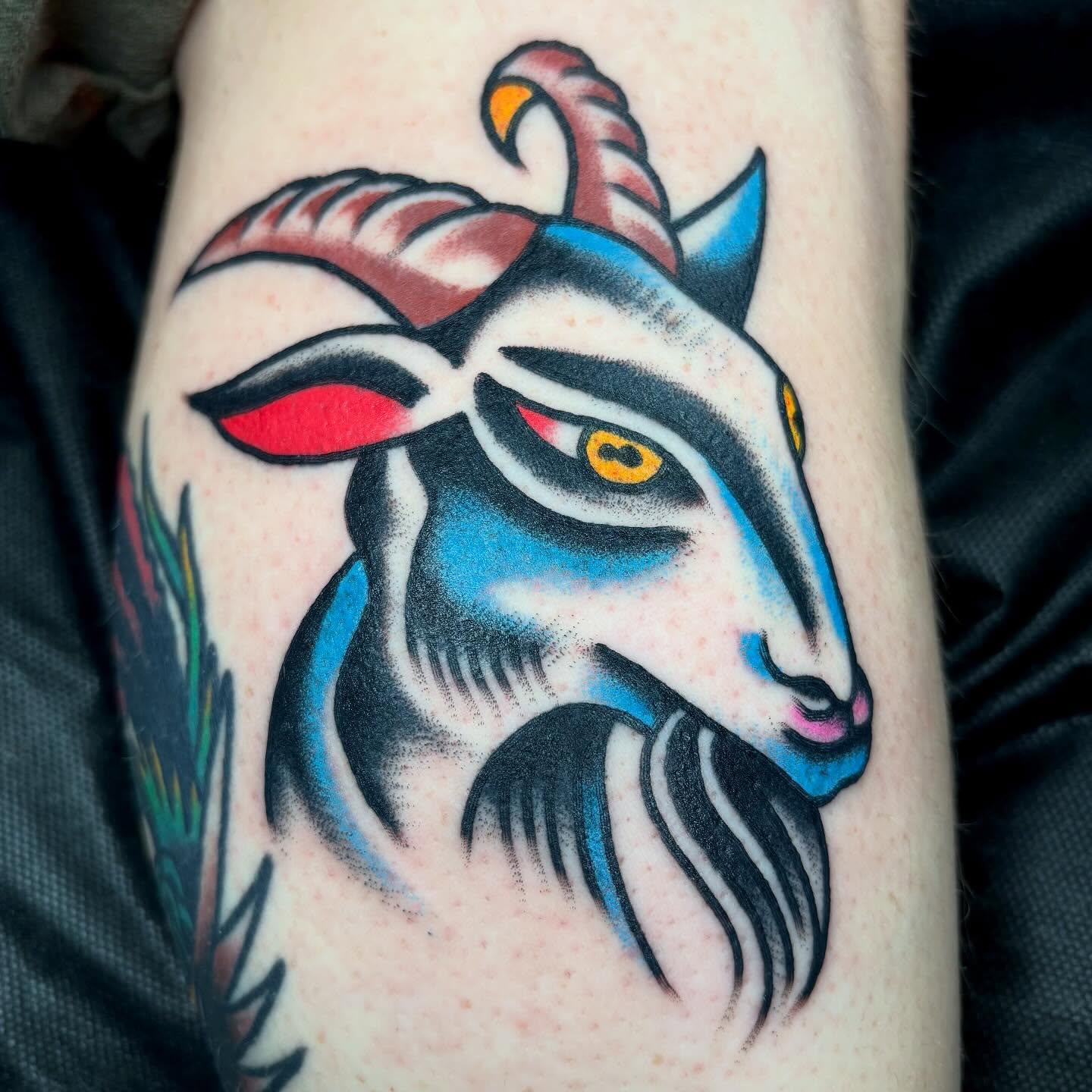 Goat head American traditional tattoo on the forearm by ~pooty~