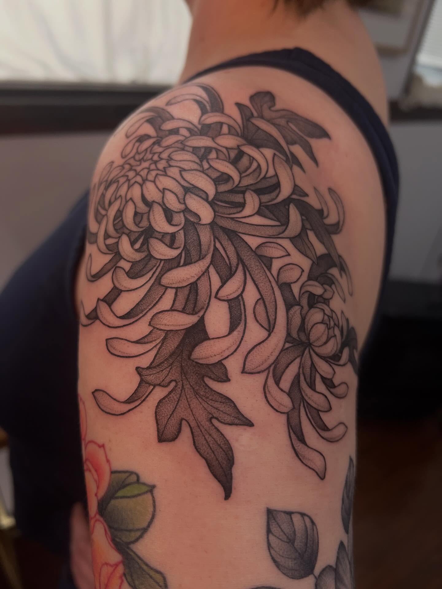 Chrysanthemum black and grey tattoo on the upper arm by Avrey Simone