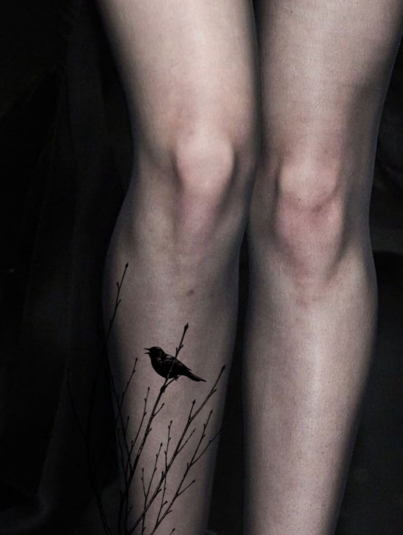 Tattoo by @my_dear__attention — black_and_grey