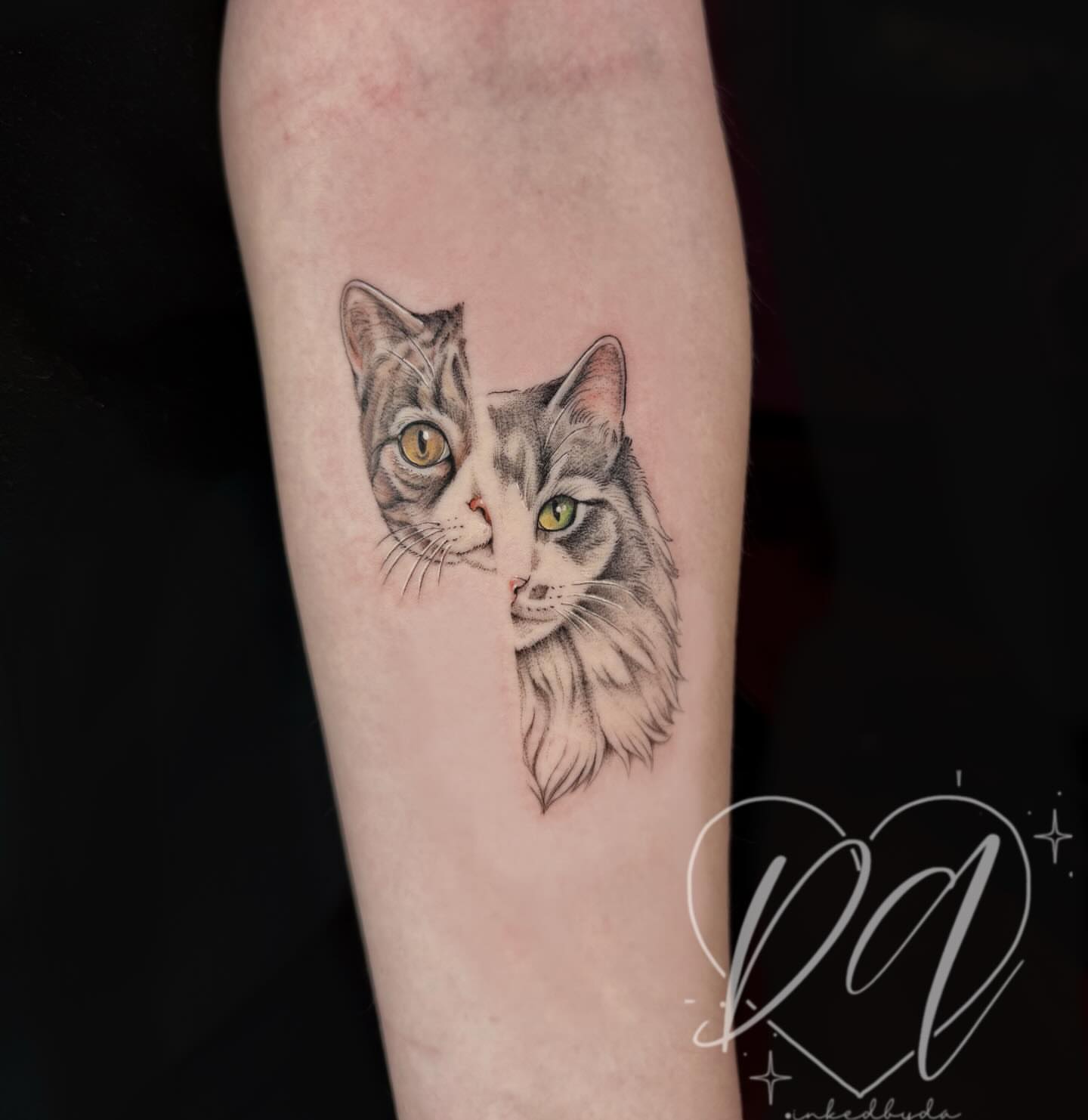 Cat realism tattoo on the forearm by Dalton Alexandria