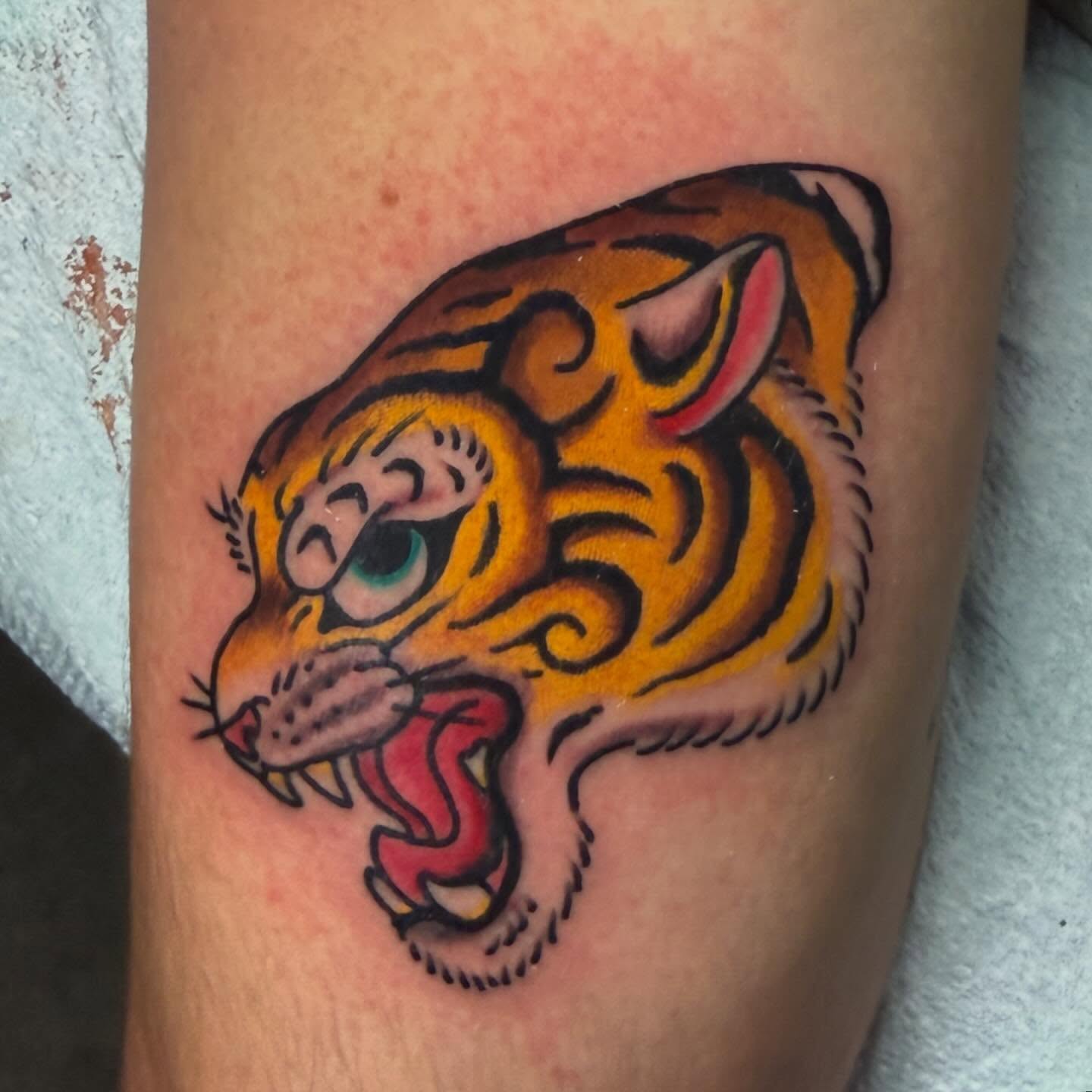 Tiger American traditional tattoo on the forearm by Zac Chaffin