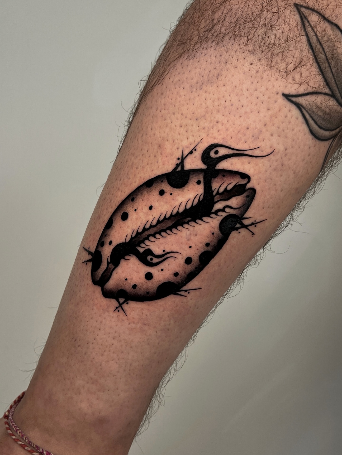 Seagull and shell dotwork tattoo on the forearm by Rebel milly Tattoo