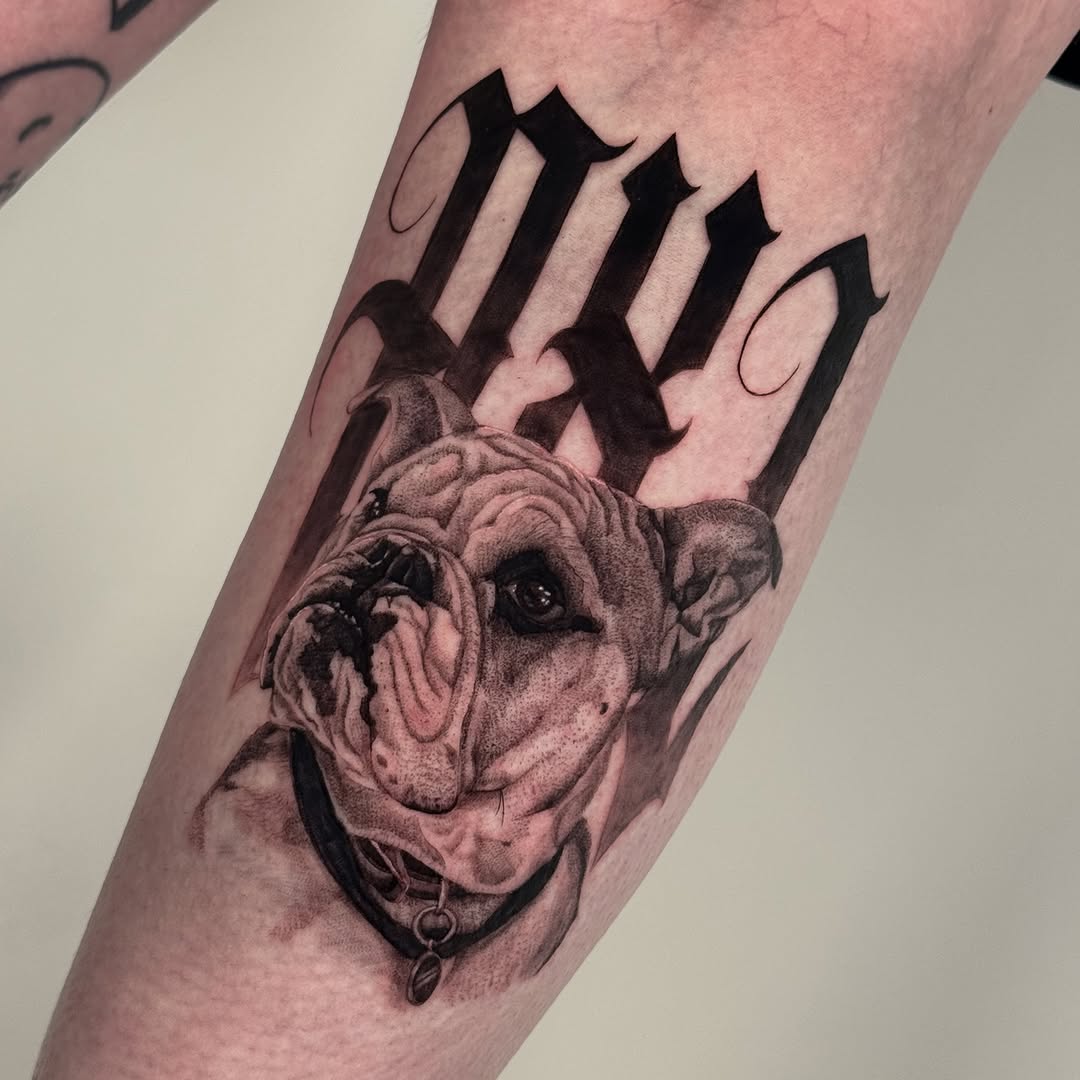 Bulldog portrait with gothic lettering realism tattoo on the forearm by Brisia Cisneros