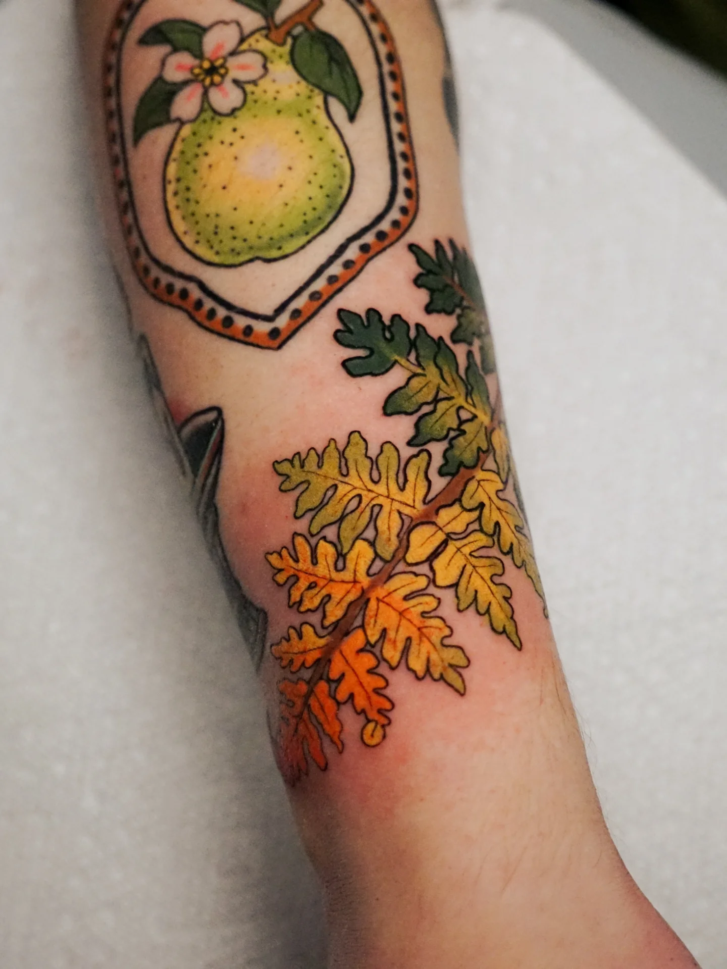 Pear and leaves American traditional tattoo on the forearm by kylie, San Antonio, Texas