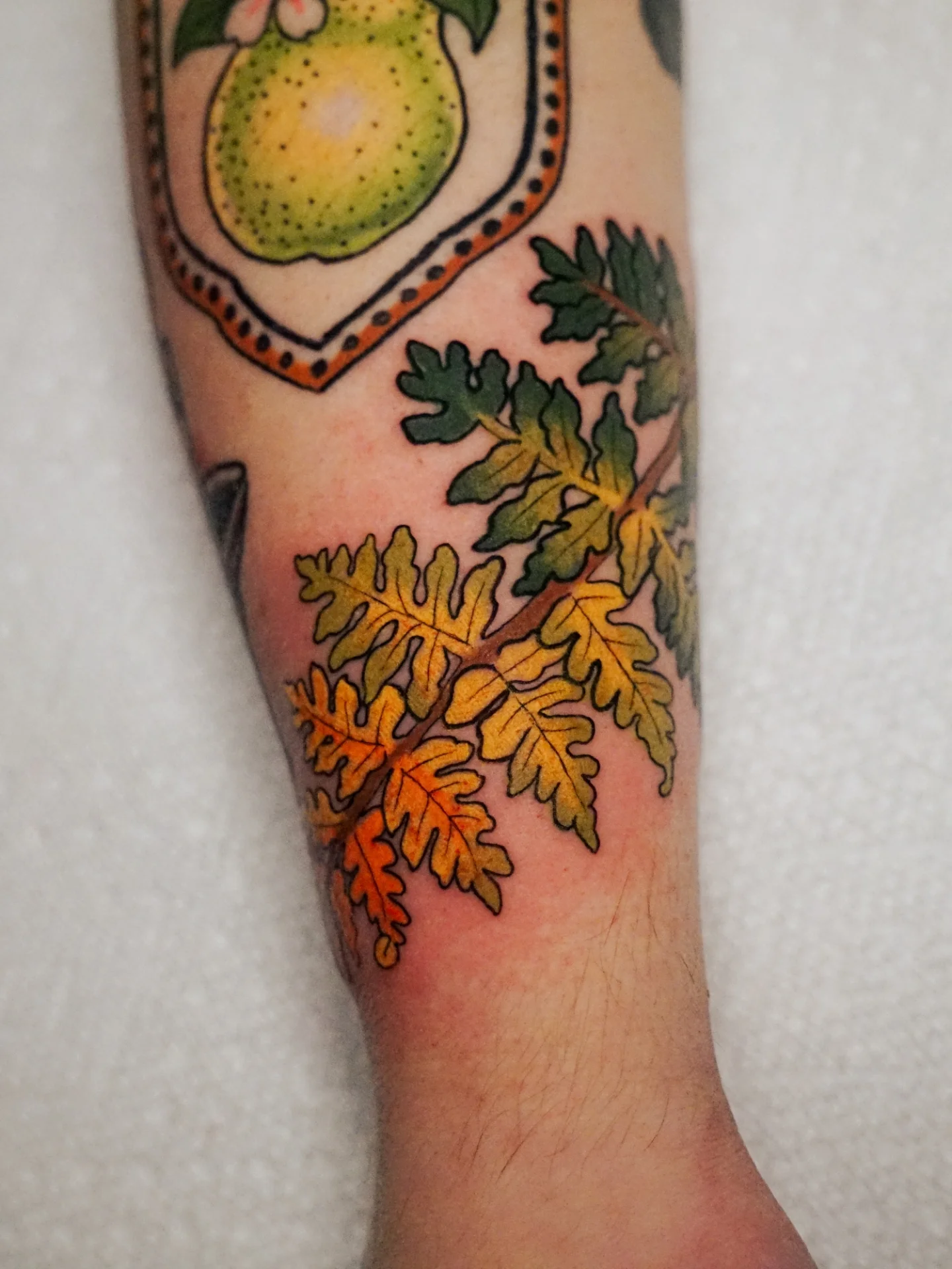 Fern leaves dotwork tattoo on the forearm by kylie, San Antonio, Texas