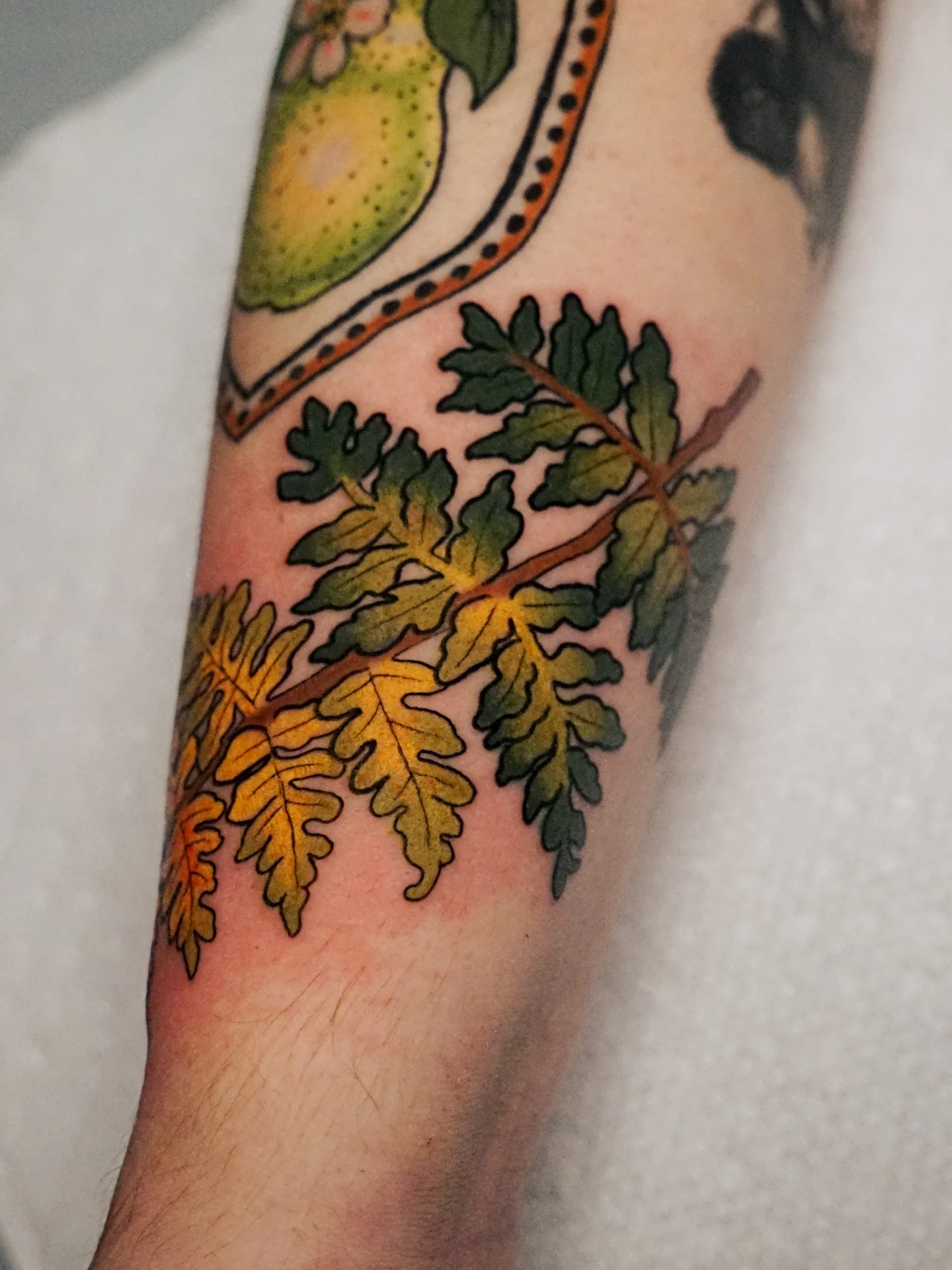 Fern branch American traditional tattoo on the forearm by kylie, San Antonio, Texas