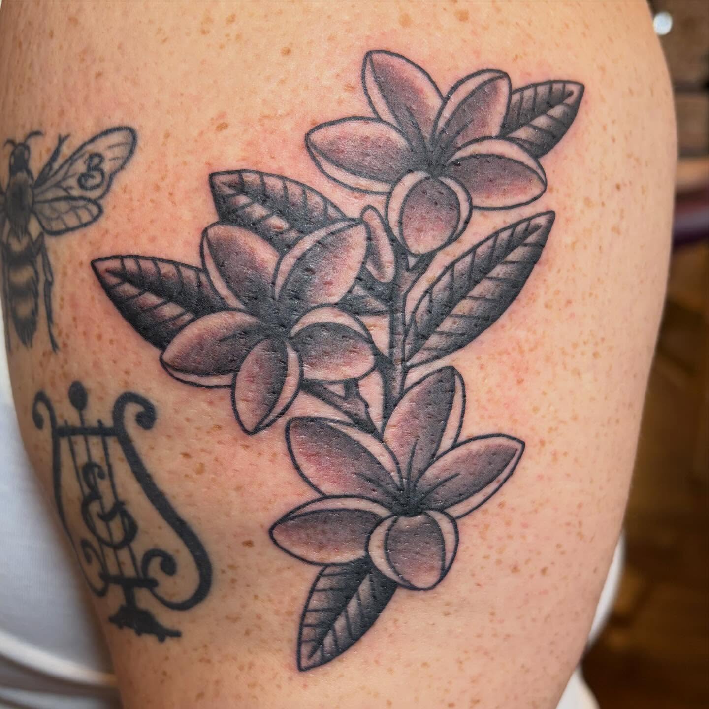 Tattoo by @caitberries — black_and_grey