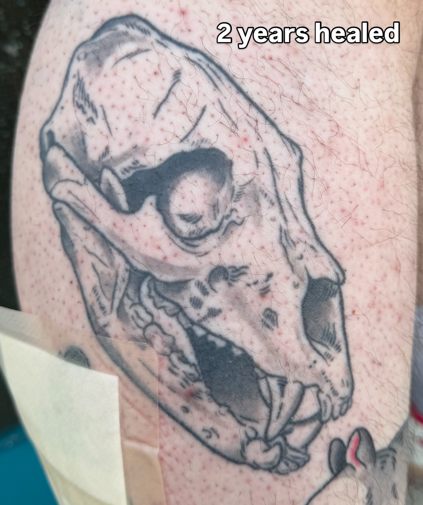 Dog skull black and grey tattoo on the forearm by Roswell Orellana 👽🛸