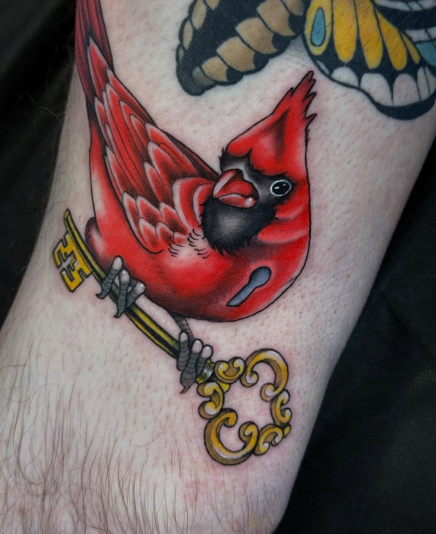 Red cardinal bird American traditional tattoo on the forearm by Kaitlyn Brebner