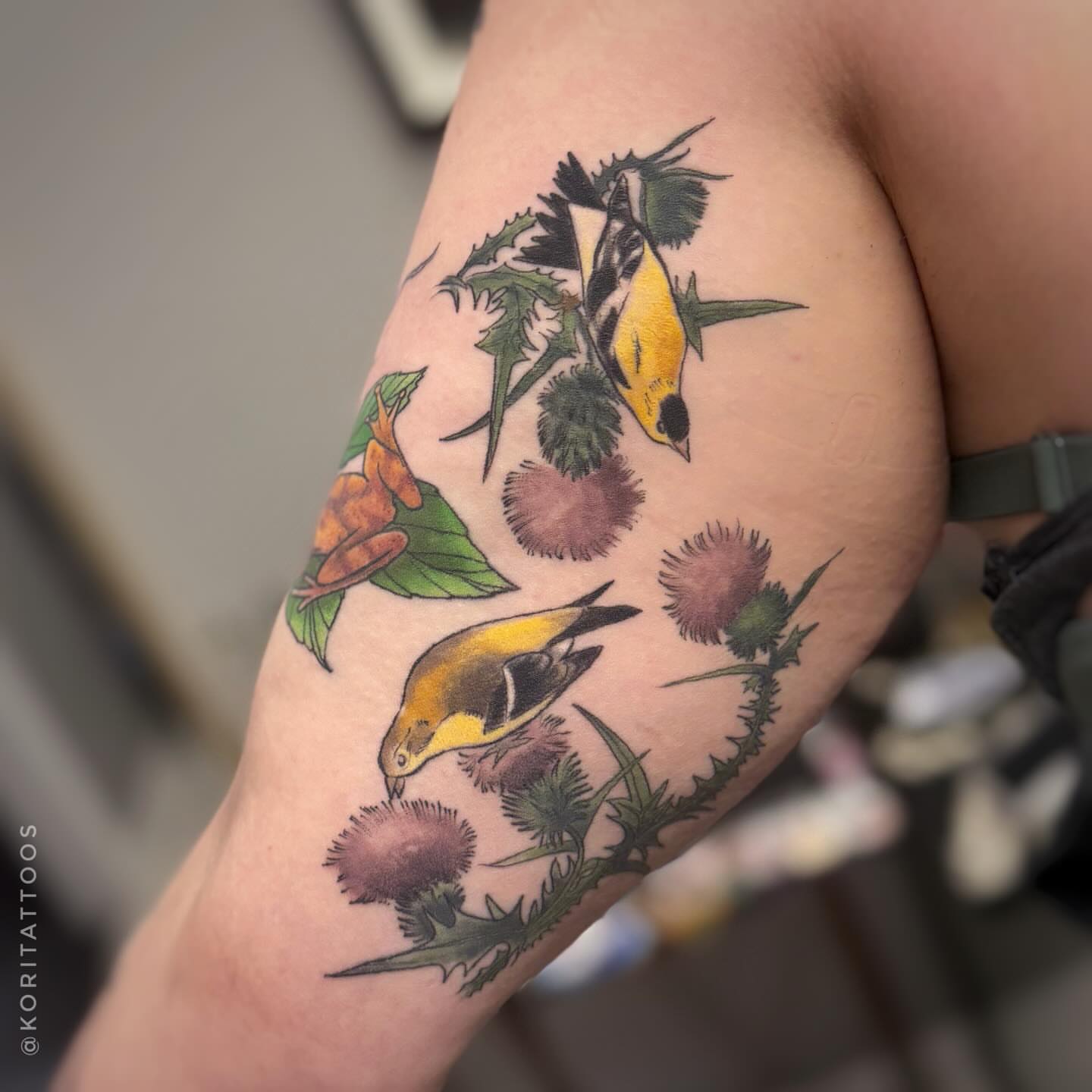 Birds and thistles realism tattoo on the upper arm by Kori Millhimes