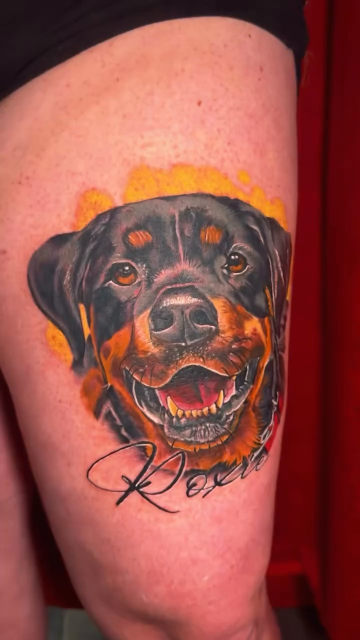 Rottweiler portrait realism tattoo by Don Peddicord