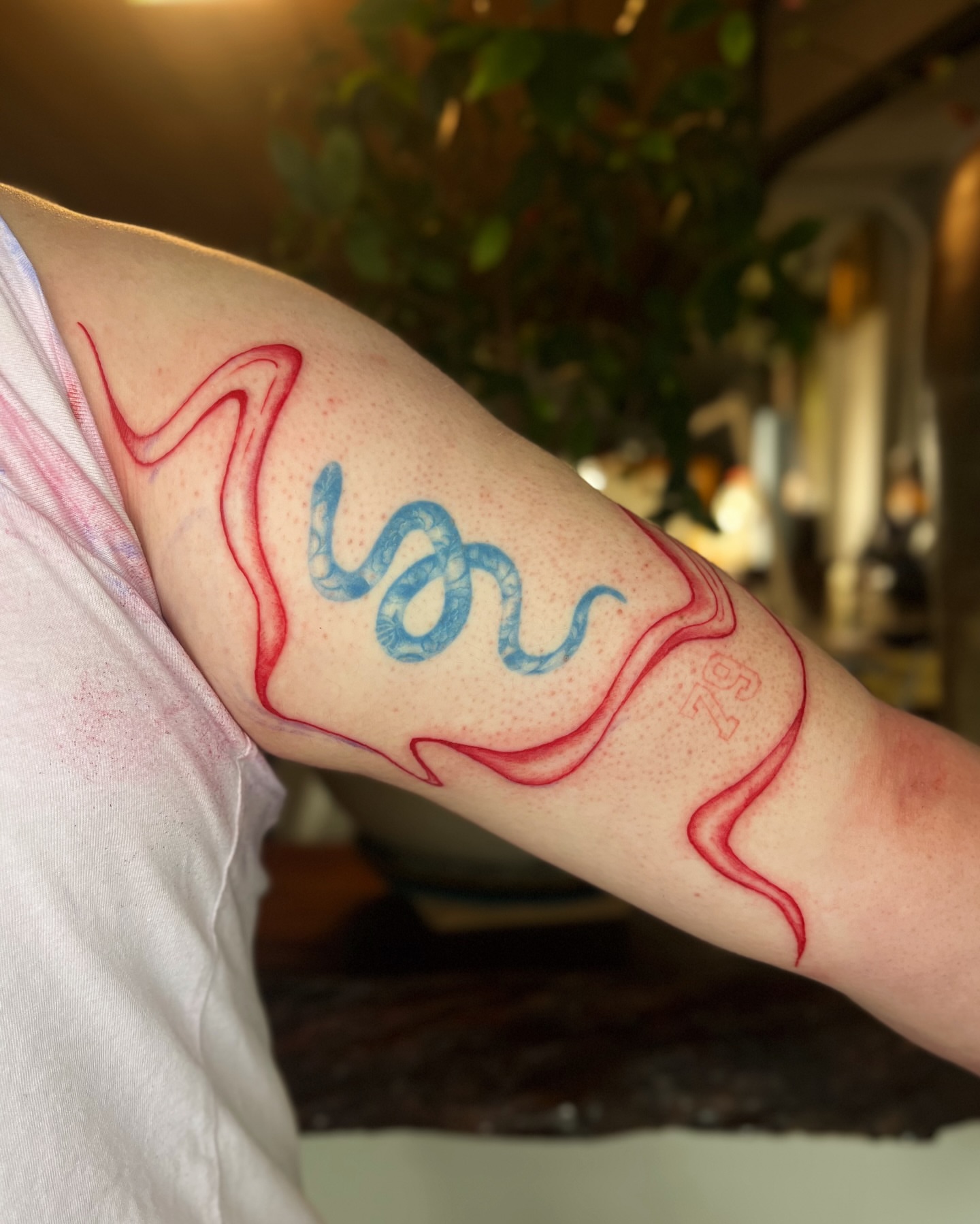 Snake dotwork tattoo on the forearm by Abigail, San Francisco, California
