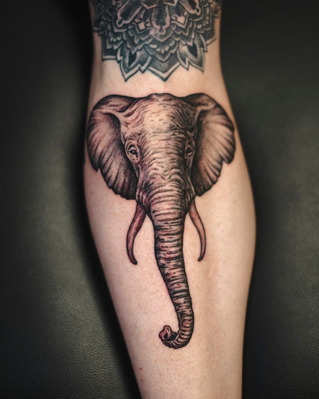 Elephant realism tattoo on the forearm by Dan Gilsdorf, Portland, Oregon