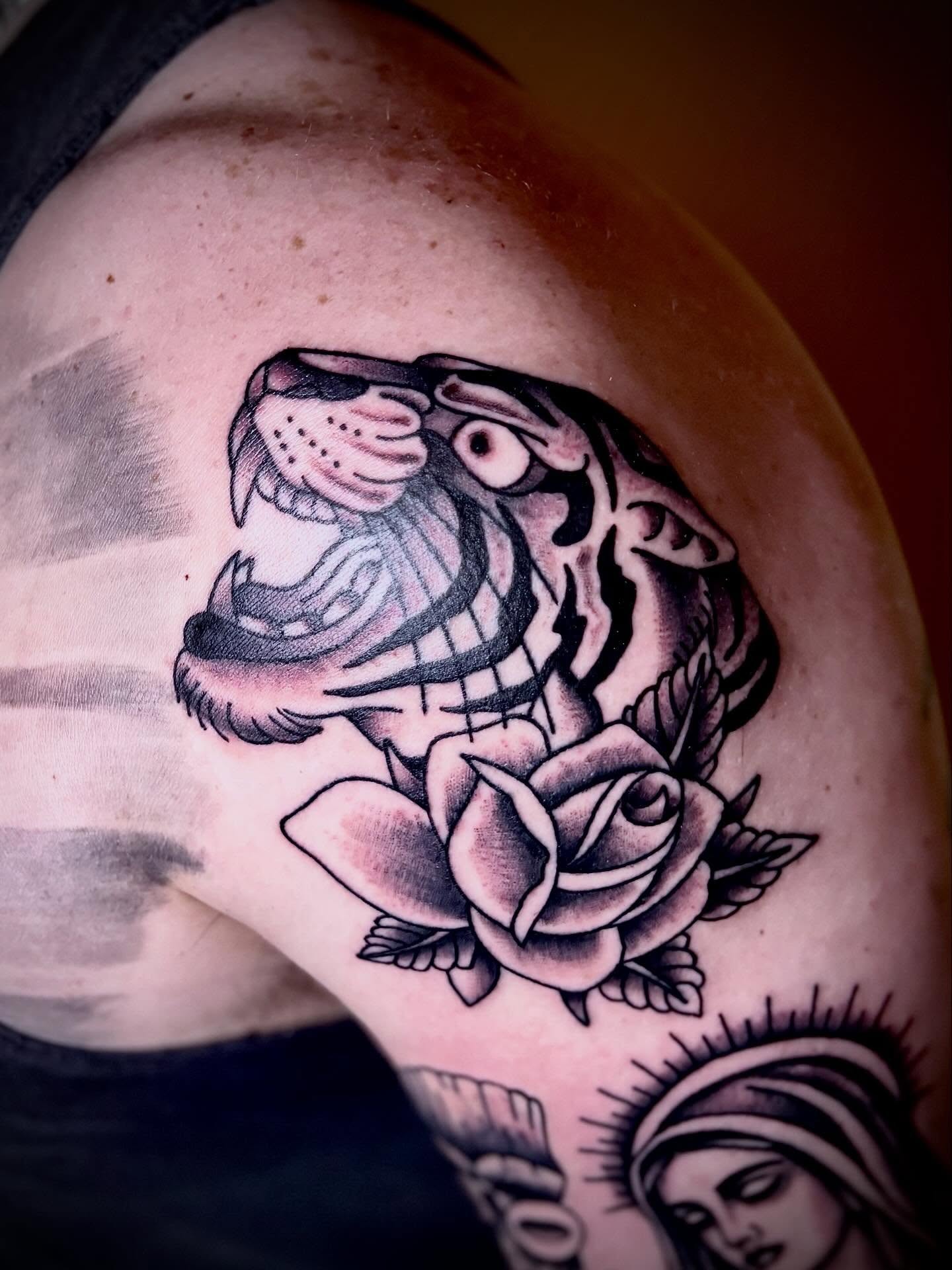 Tiger and rose American traditional tattoo on the shoulder by JD Bassett