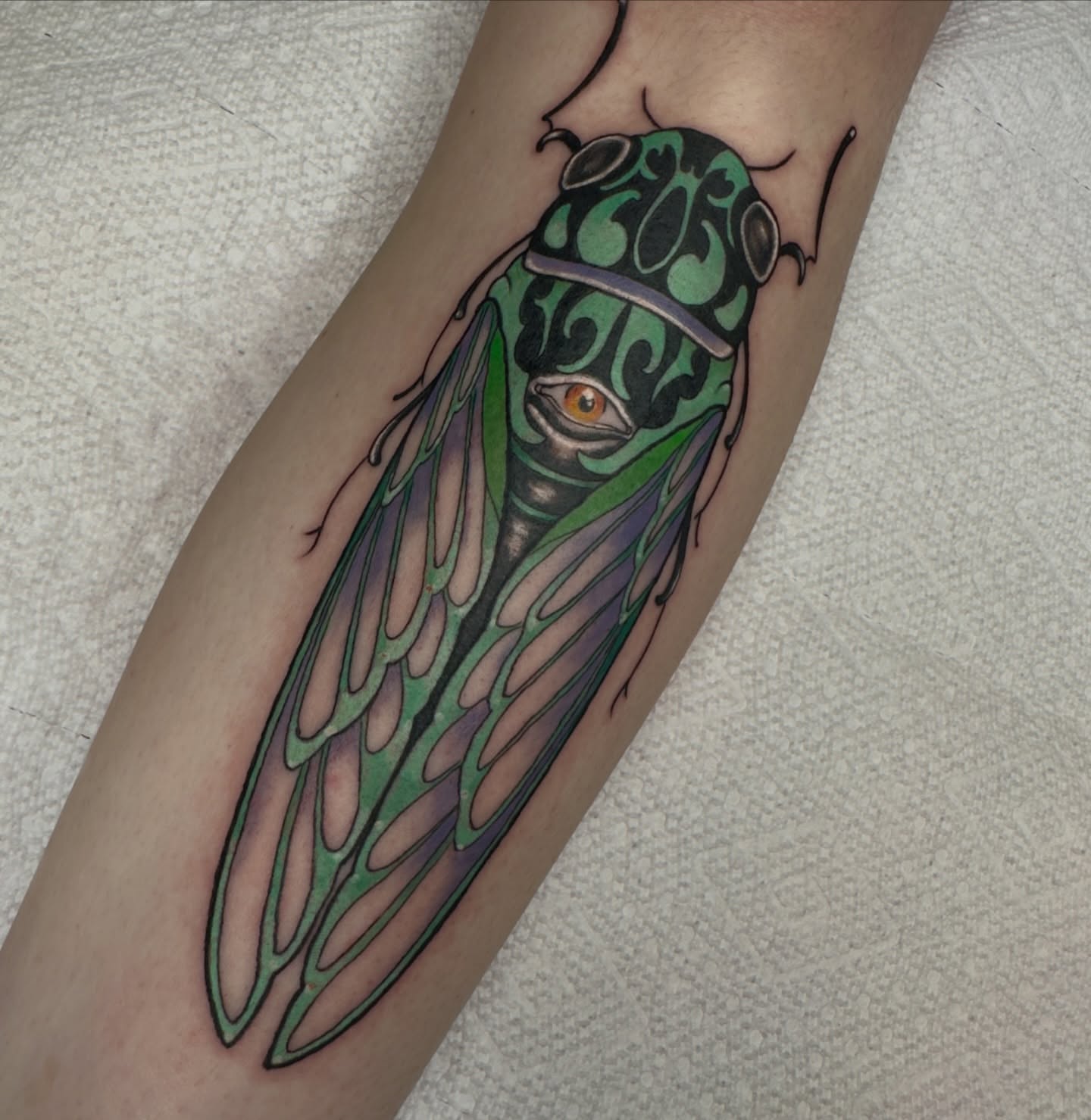 Cicada realism tattoo on the forearm by Jenn Golgan