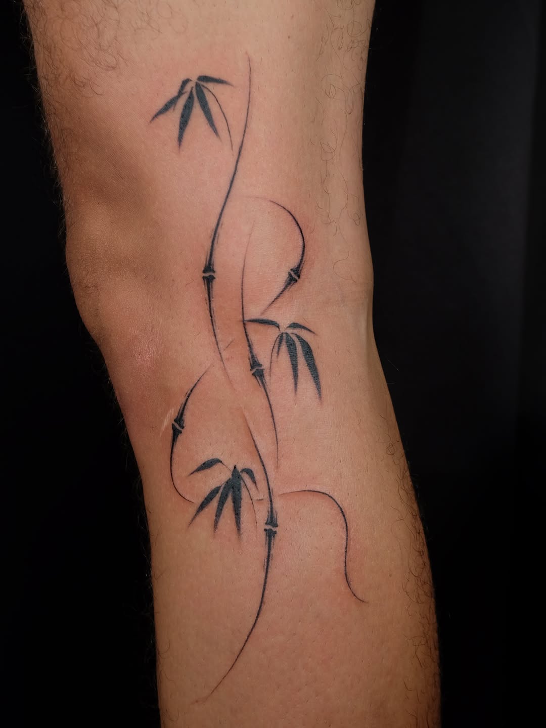 Bamboo branch fine line tattoo on the forearm by lela