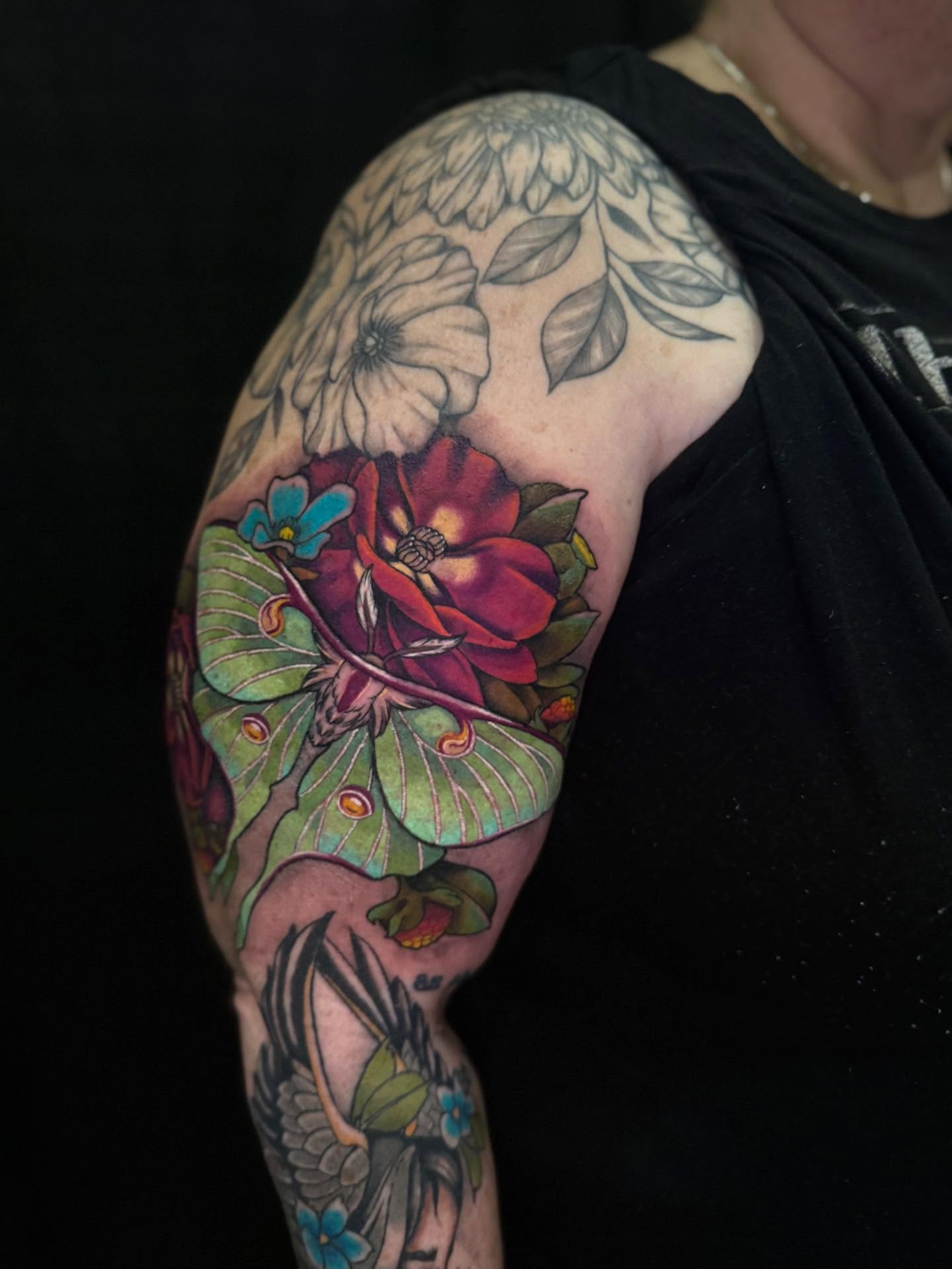 Tattoo by @causedonuts — american_traditional, realism