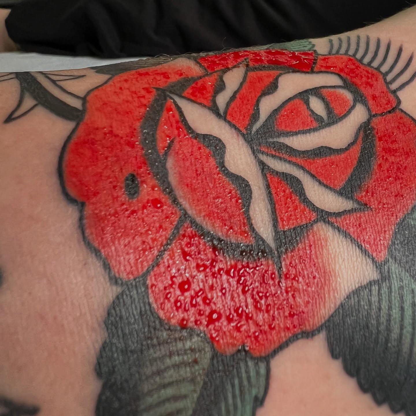 Red rose American traditional tattoo on the forearm by Andrew Storm