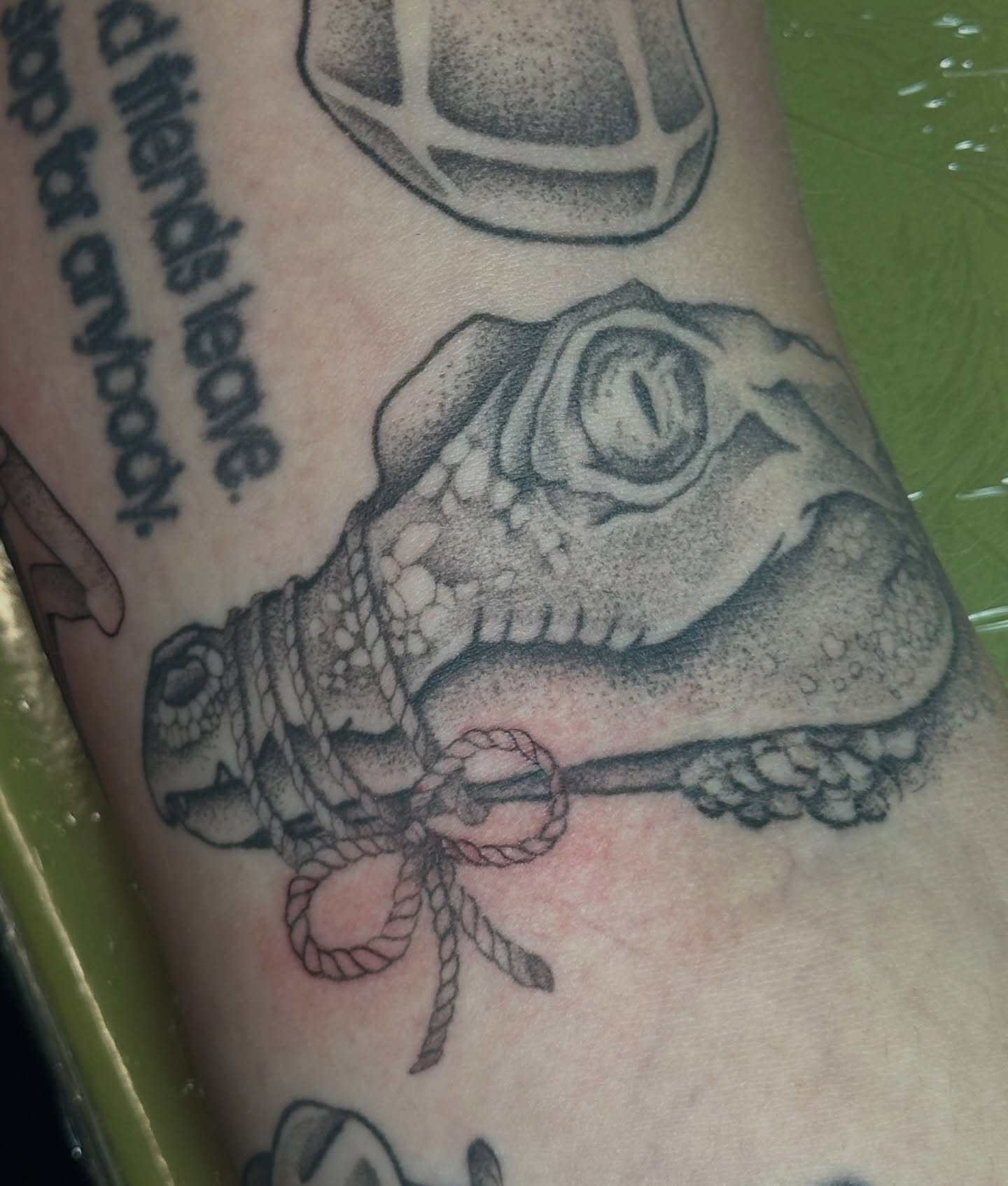 Turtle dotwork tattoo on the forearm by kennedy :) π±πΏ