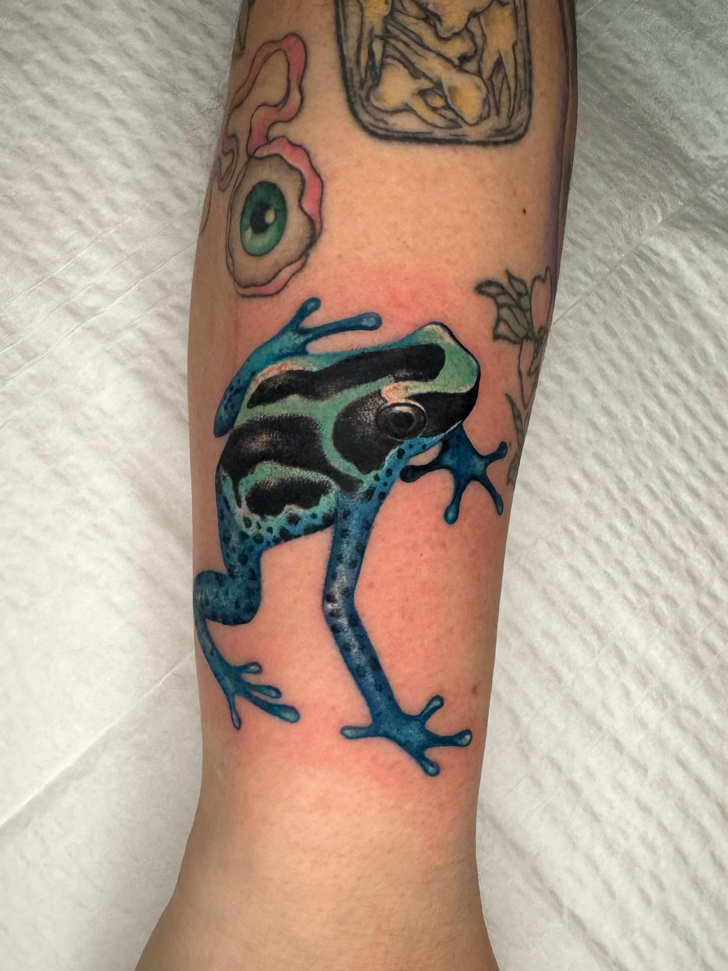 Poison dart frog realism tattoo on the forearm by Nichole Lorence