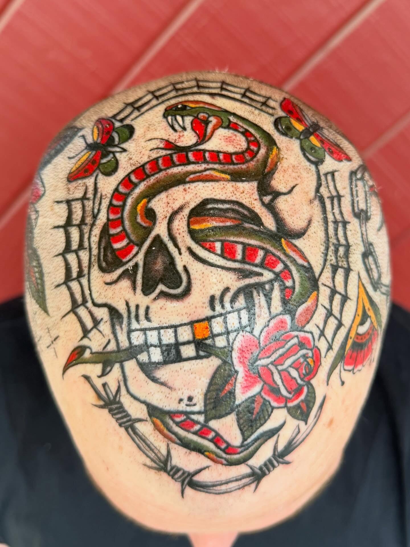 Skull with snake American traditional tattoo on the head by David Evans