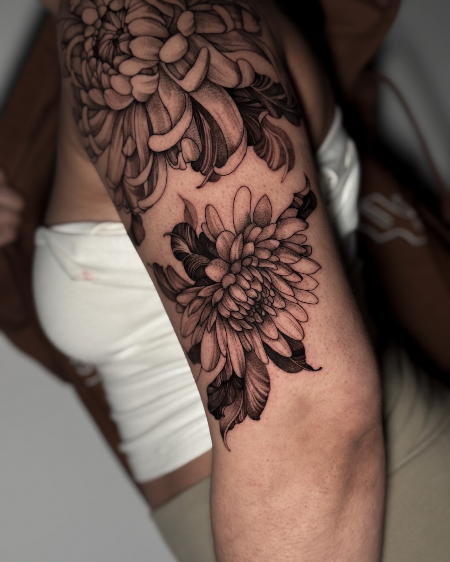 Chrysanthemum black and grey tattoo on the forearm by Luiny