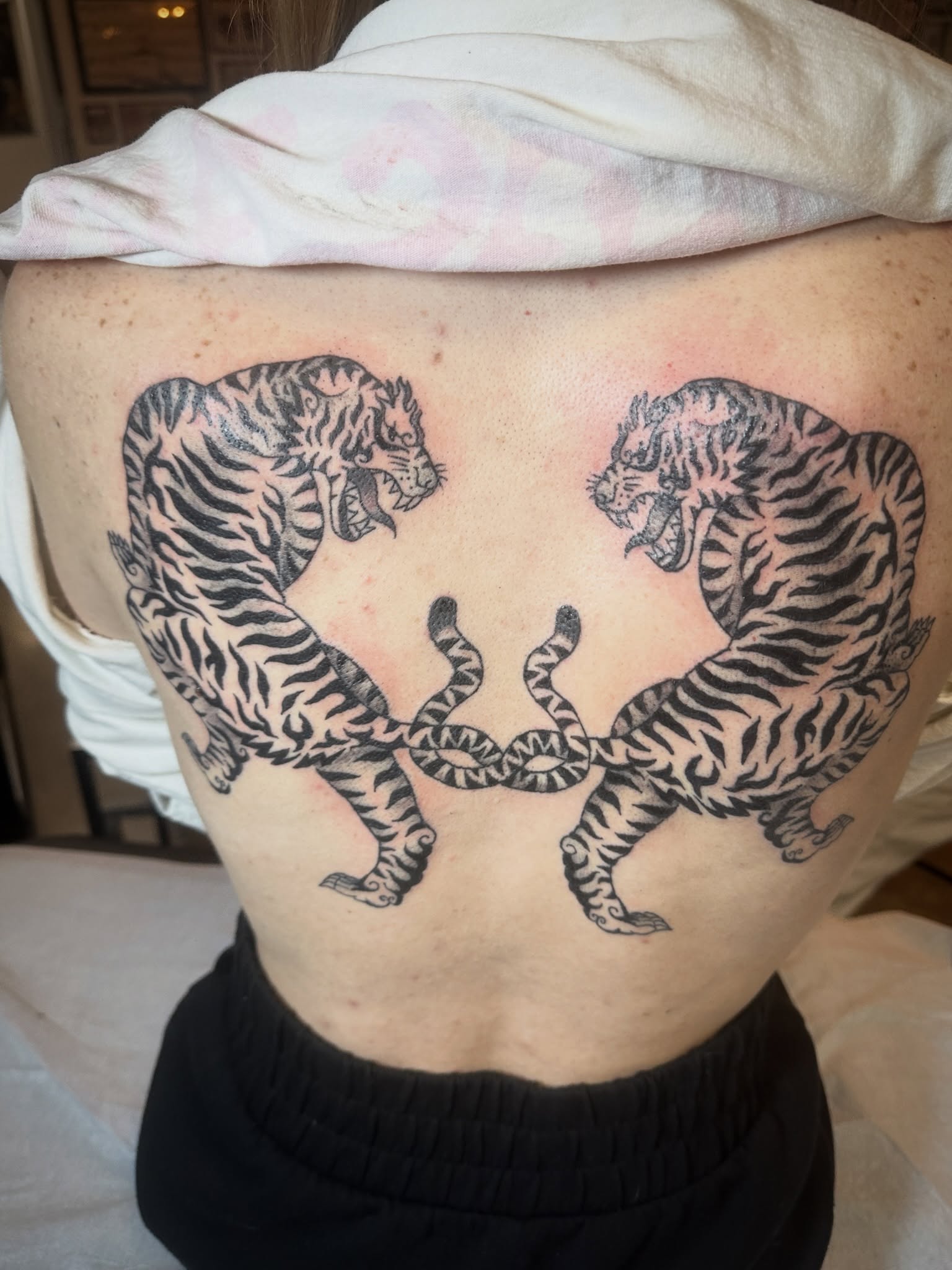Tigers black and grey tattoo on the back by Luisa Gonzalez, Austin, Texas