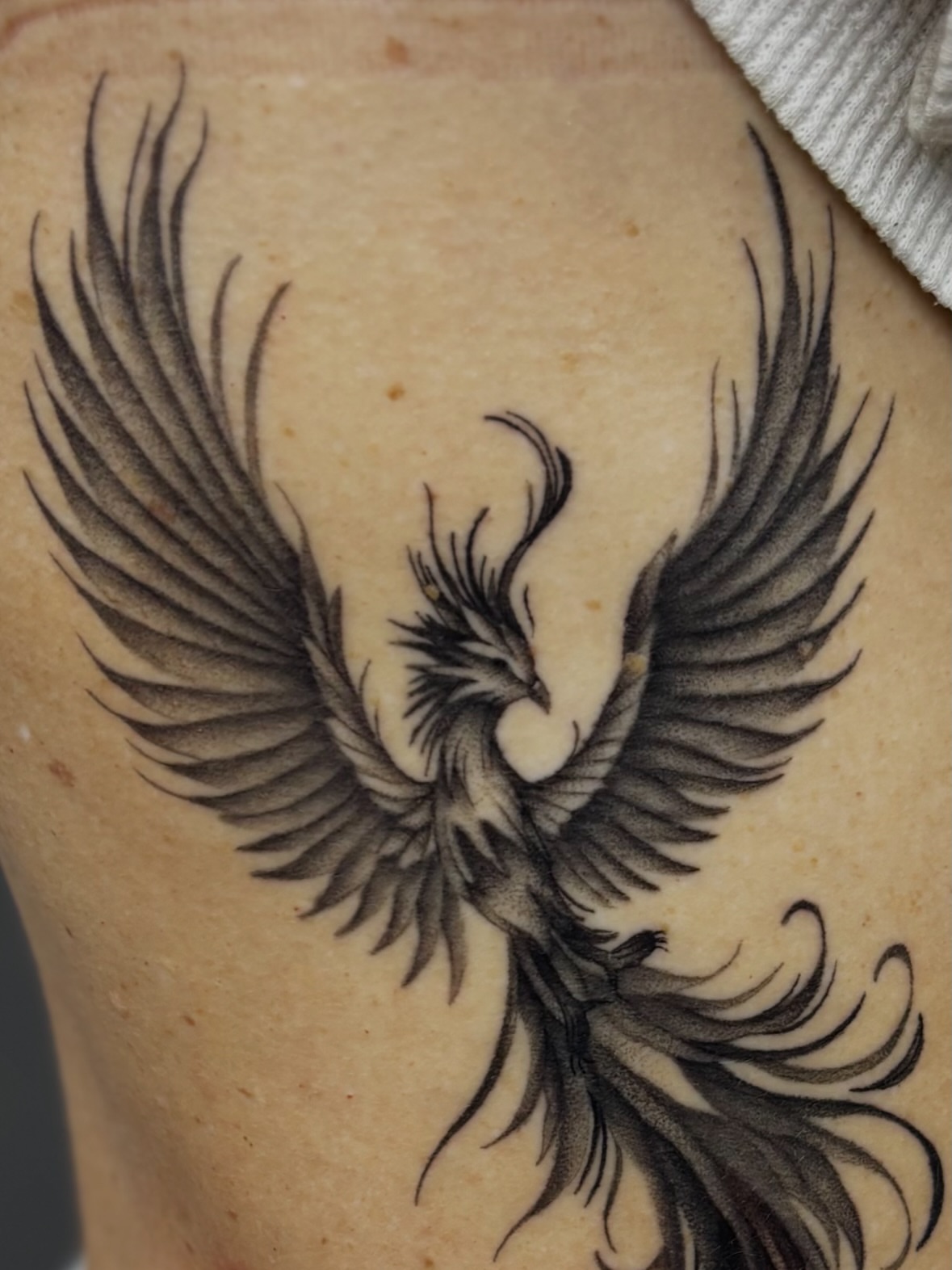 Phoenix black and grey tattoo on the thigh by Elise Lamoureux- Tattoo Artist, Airdrie, Alberta