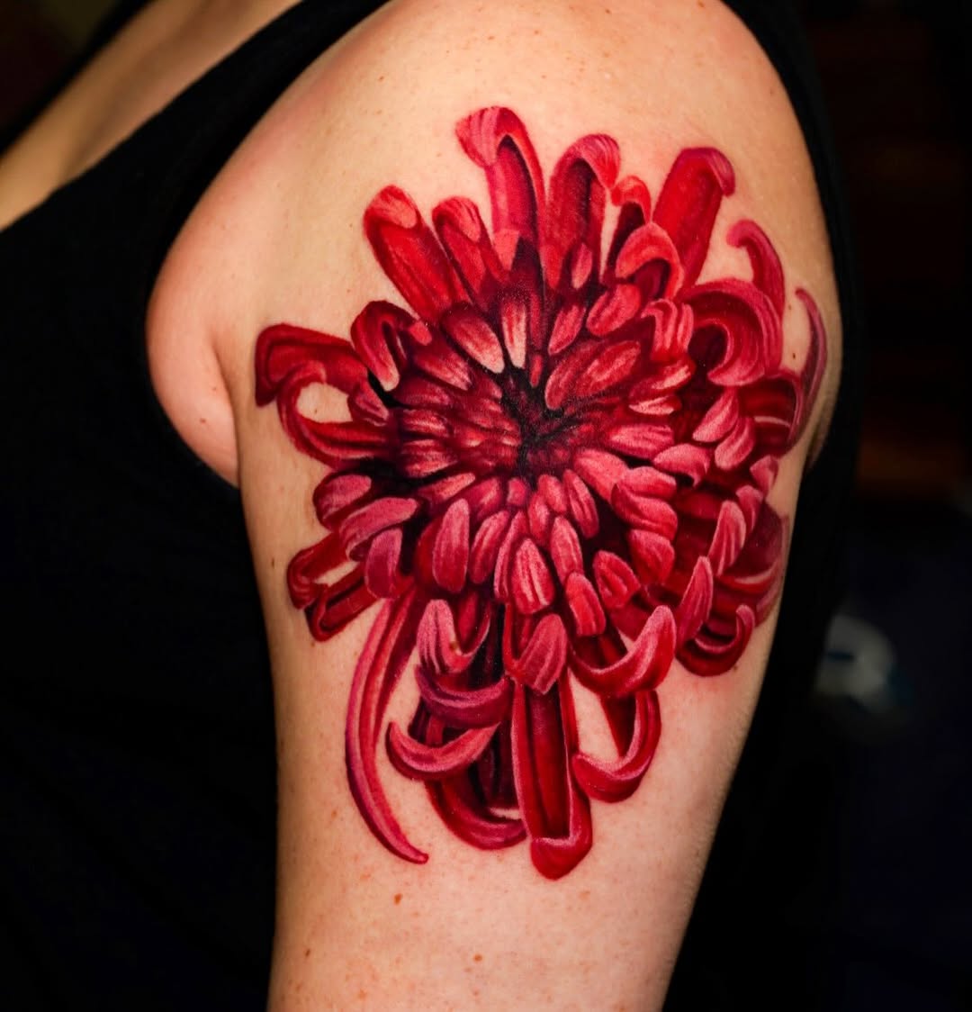 Red chrysanthemum flower neo-traditional tattoo on the shoulder by David Gordon