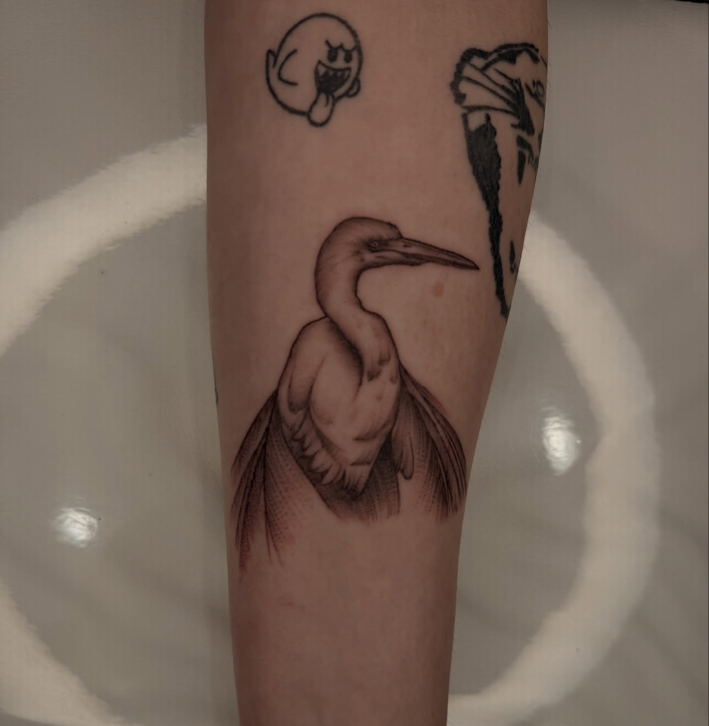 Heron realism tattoo on the forearm by Austin C Pratt-Fusari