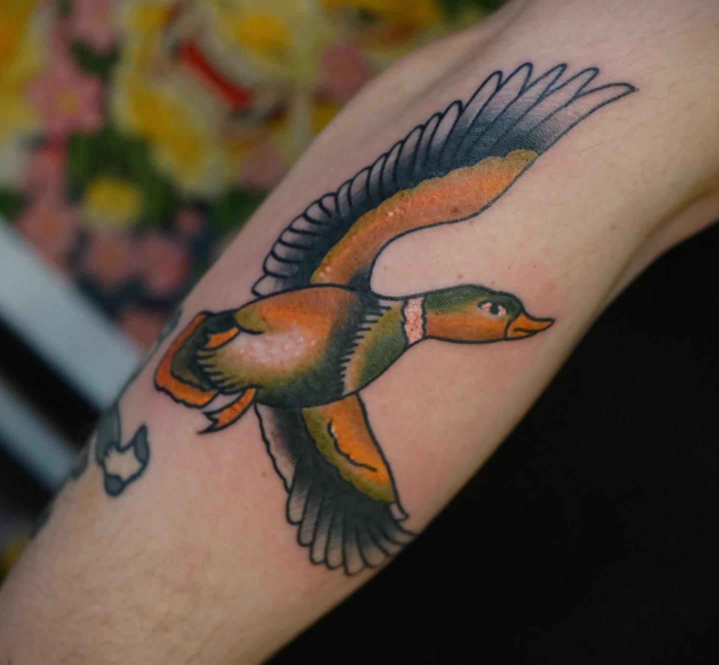 Flying duck American traditional tattoo on the forearm by Tyler Harrington