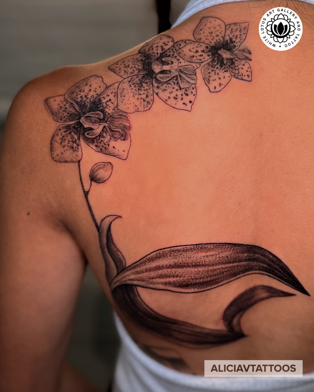 Orchid dotwork tattoo on the shoulder by Alicia Vasquez