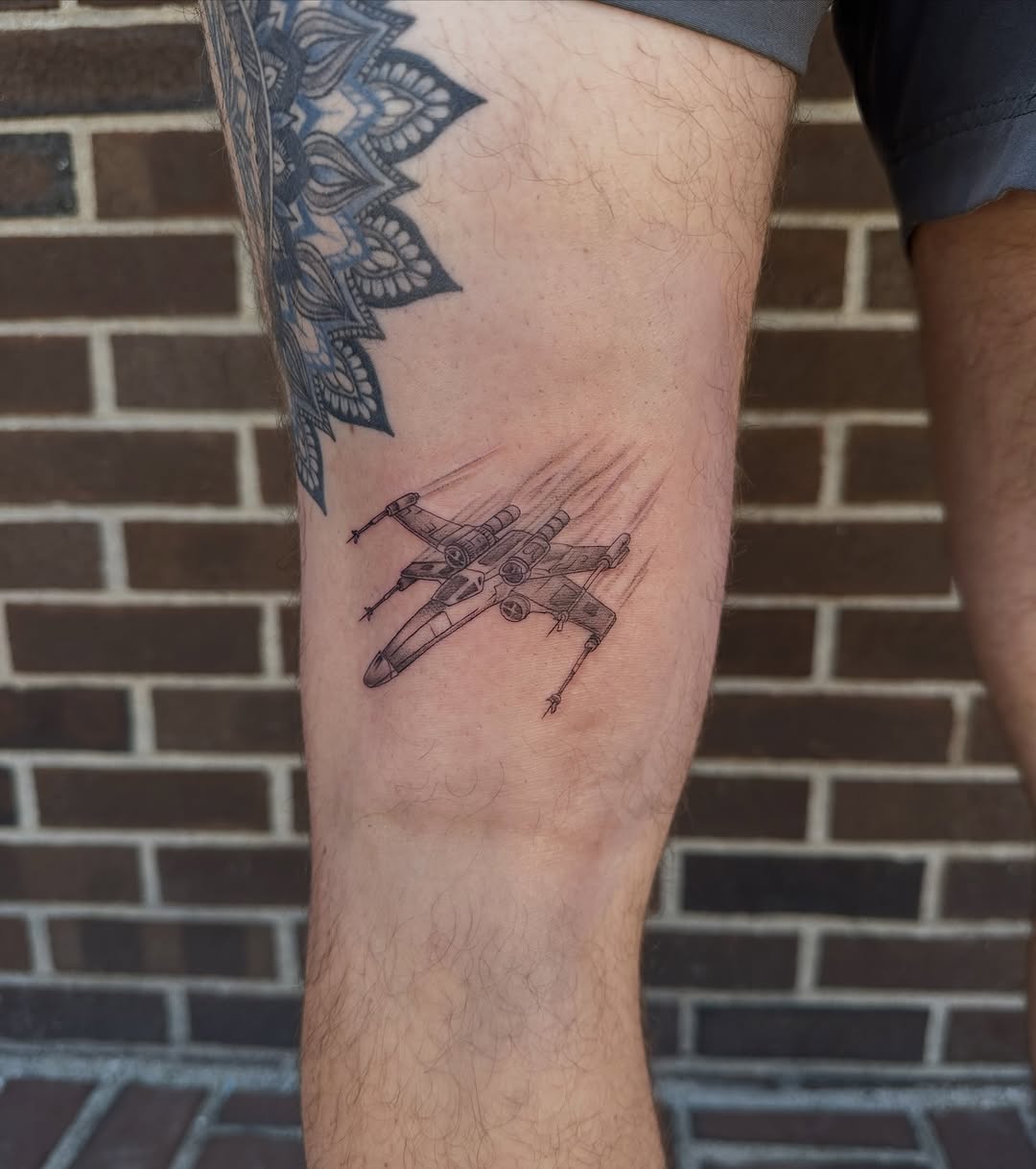 Tattoo by @allhailtattoos_ — fine_line, realism