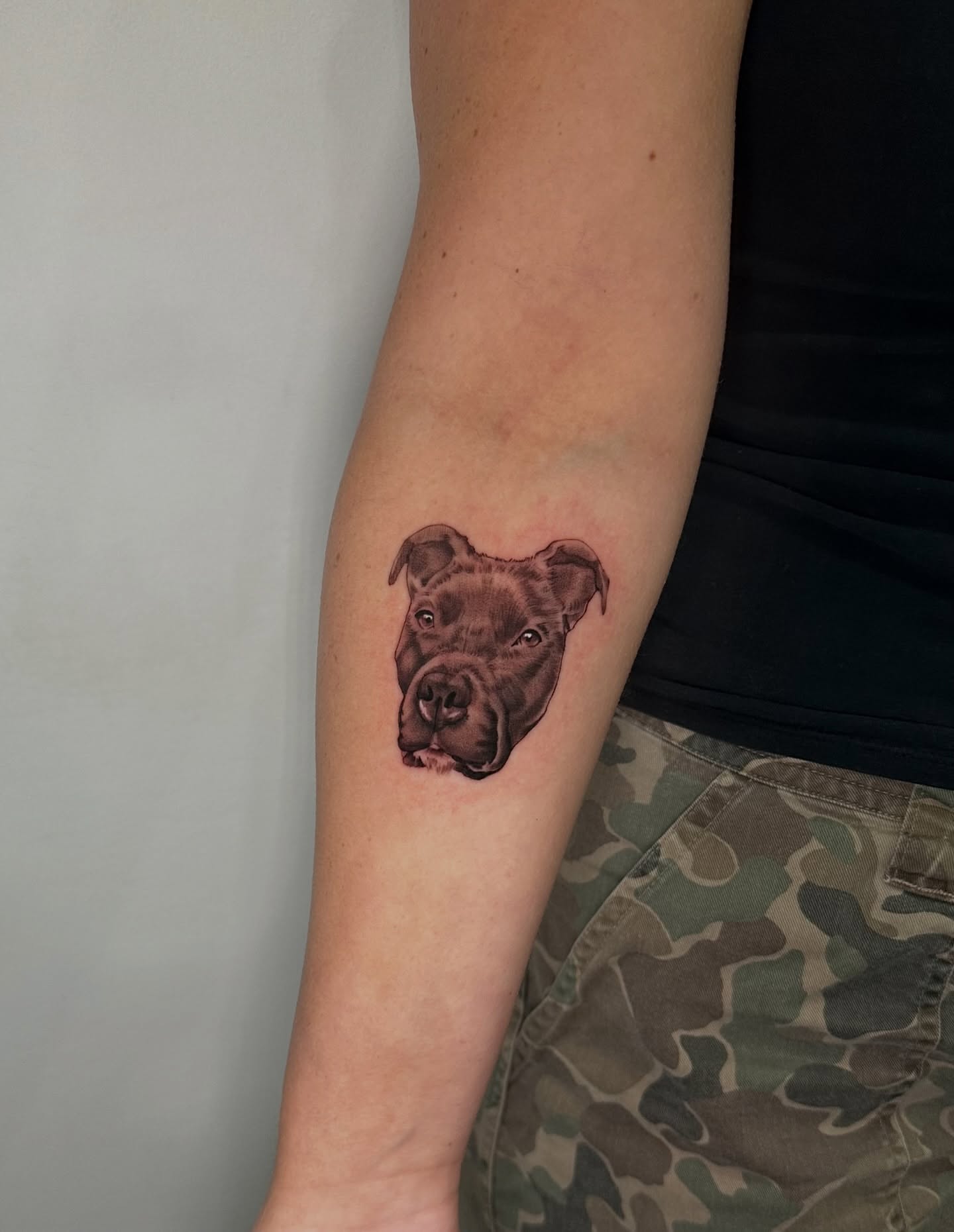 Pitbull realism tattoo on the forearm by 𝘋𝘪𝘢𝘯𝘯𝘢