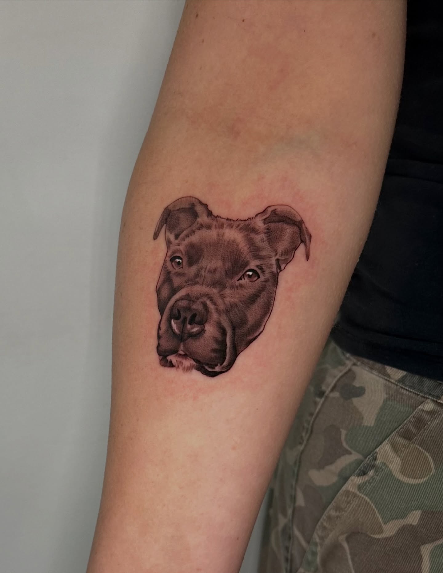 Pit bull realism tattoo on the forearm by 𝘋𝘪𝘢𝘯𝘯𝘢
