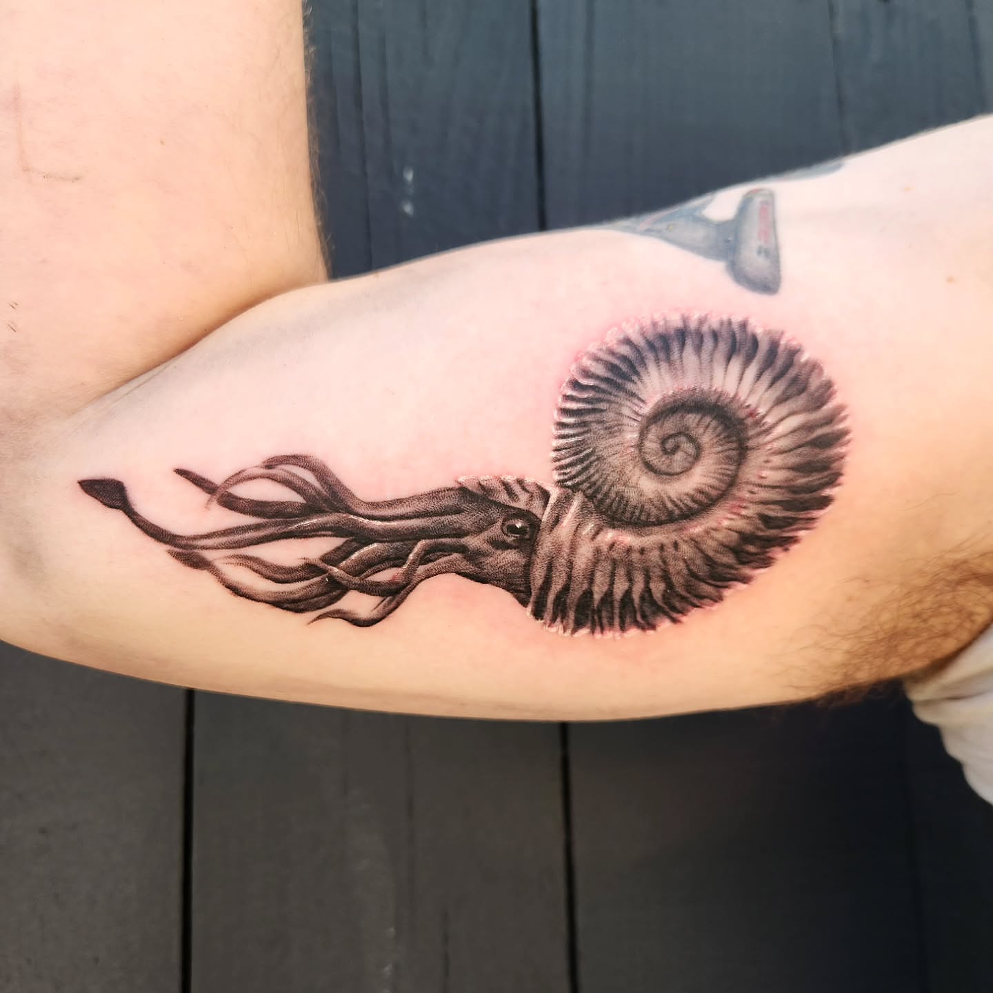 Tattoo by @bongobodyart — realism, black_and_grey