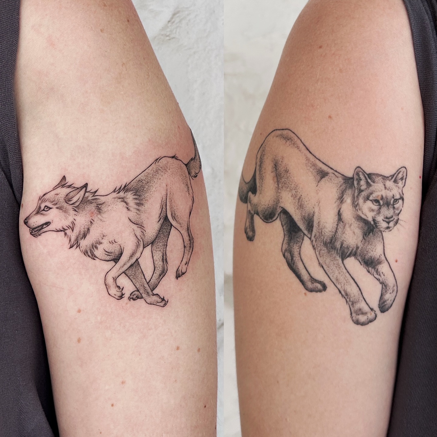 Wolf and cougar dotwork tattoo on the forearm by Micky, Austin, Texas
