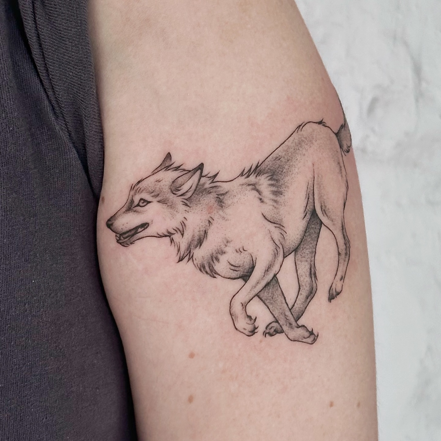Wolf dotwork tattoo on the forearm by Micky, Austin, Texas
