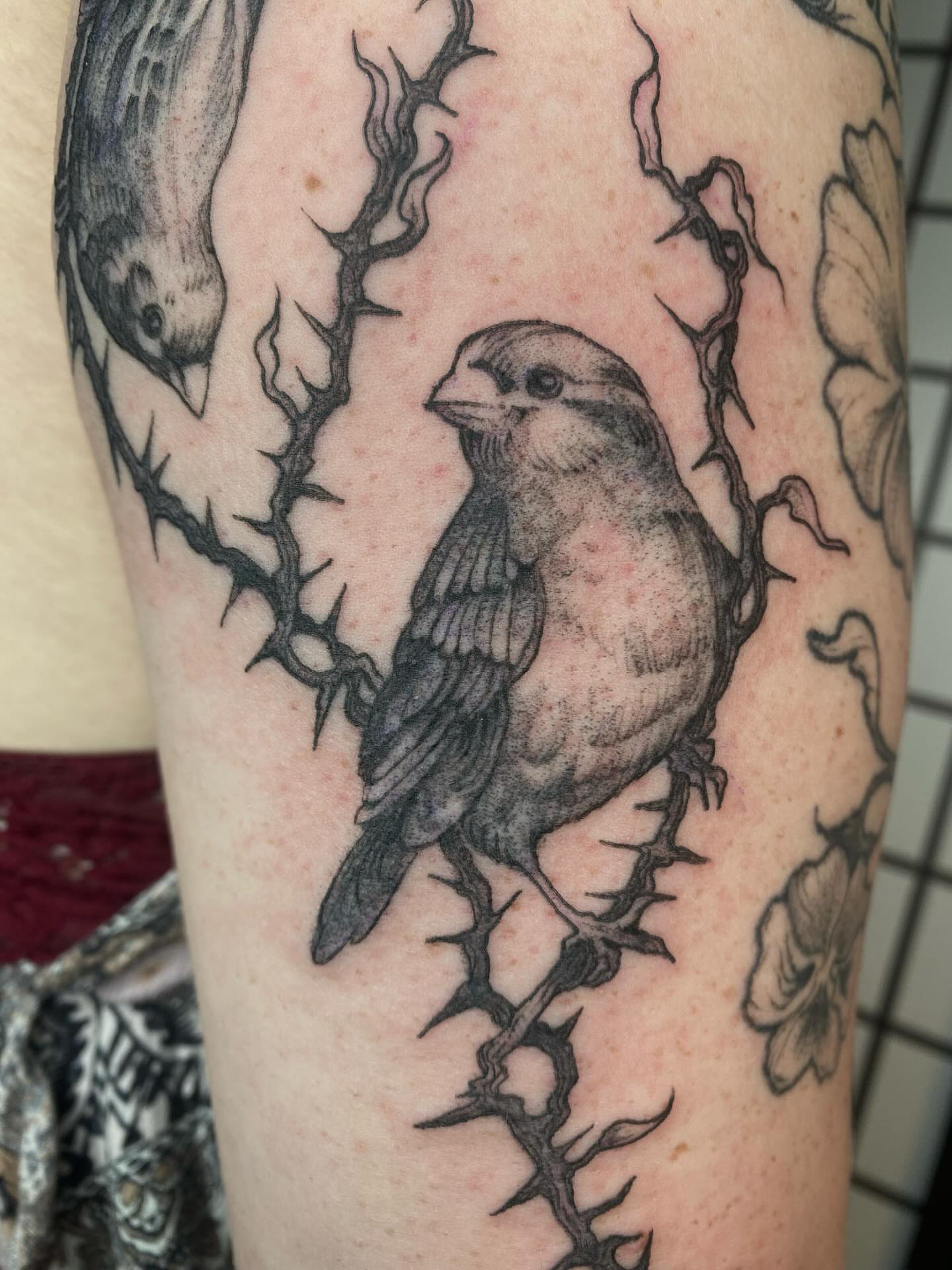 Sparrow and thorns black and grey tattoo on the forearm by sarah 🗝️