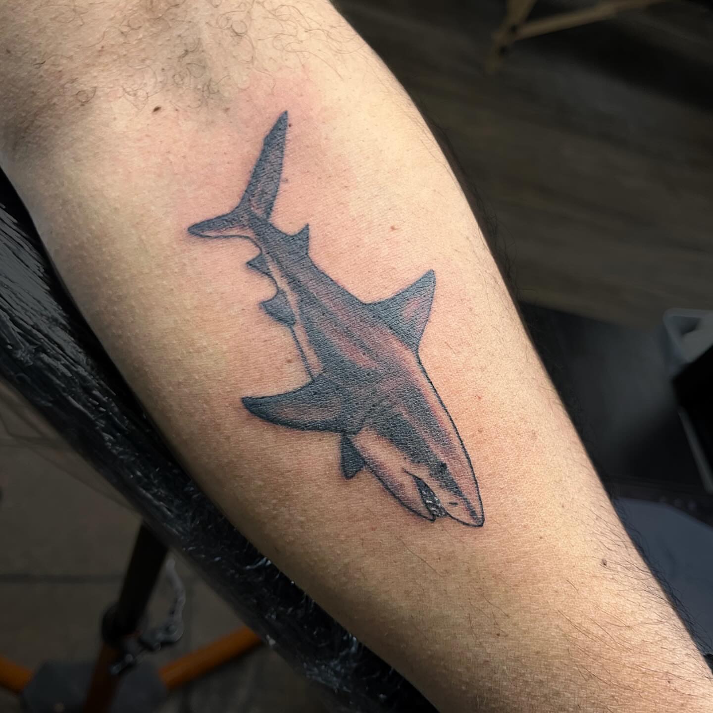 Shark black and grey tattoo on the forearm by Brianna Jo Ballinghoff