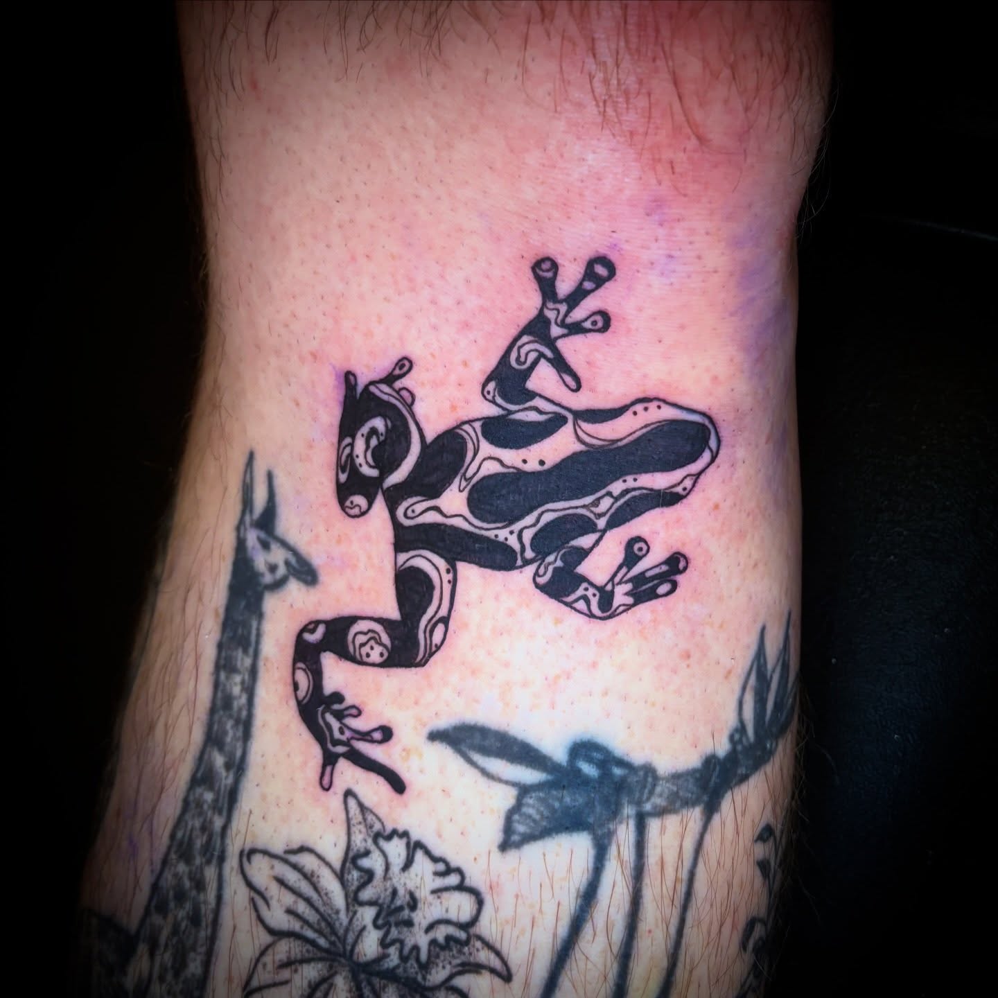 Frog black and grey tattoo on the forearm by Kiwi🌱☀️