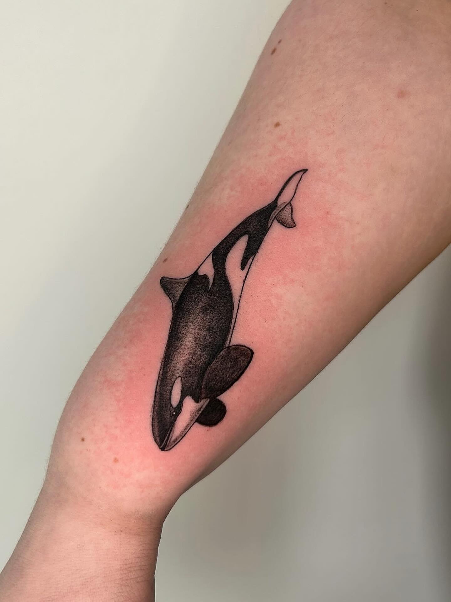 Tattoo by @fivi_lu — black_and_grey