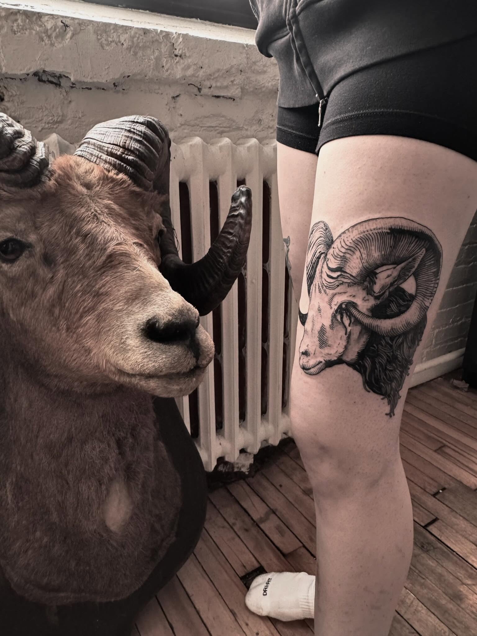 Ram head realism tattoo on the thigh by 𝐋𝐢𝐬𝐚 𝐊𝐨𝐫𝐳𝐞𝐧𝐨𝐰𝐬𝐤𝐢