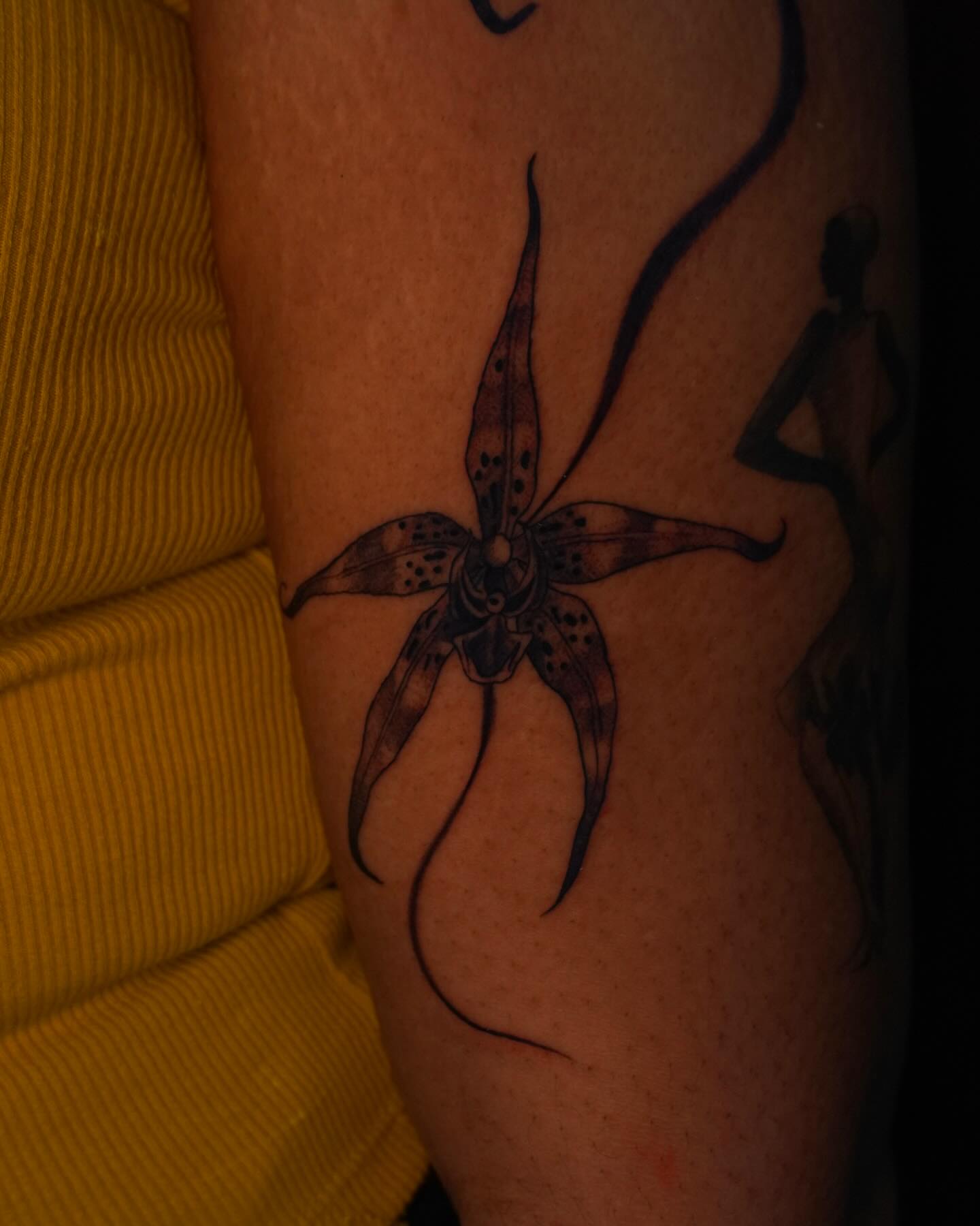 Octopus dotwork tattoo on the thigh by hallow ☣︎ tattoo artist, Philadelphia, Pennsylvania
