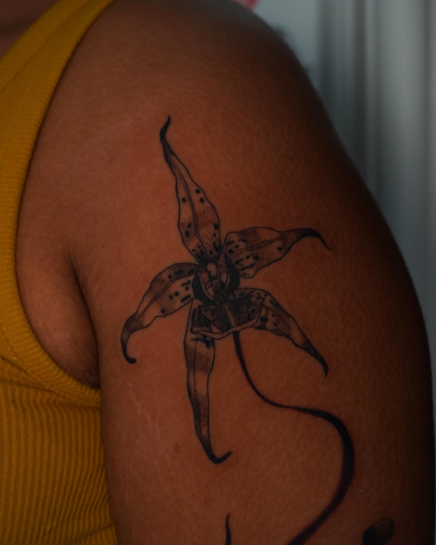 Lily black and grey tattoo on the shoulder by hallow ☣︎ tattoo artist, Philadelphia, Pennsylvania