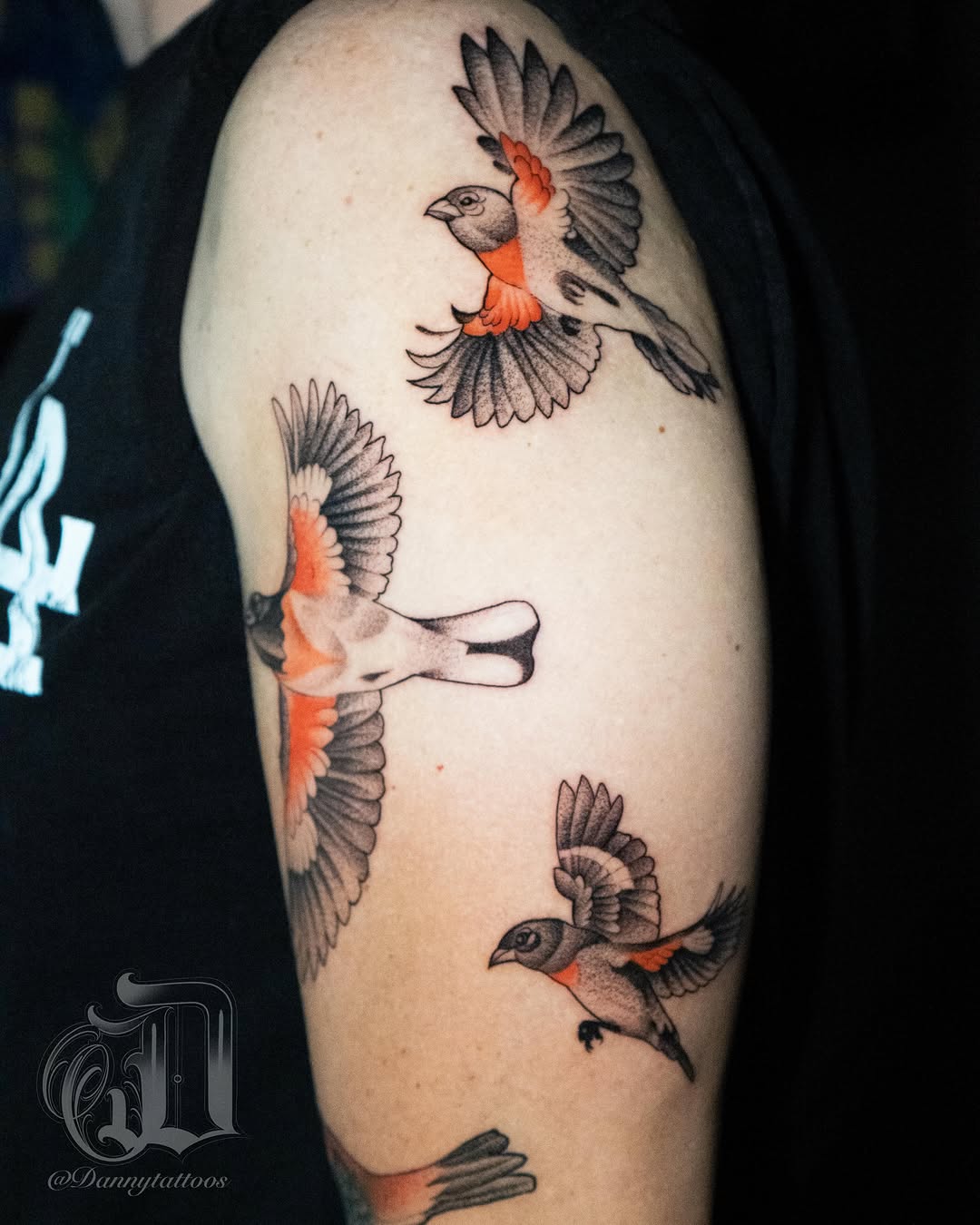 Birds realism tattoo on the shoulder by Danny Pando