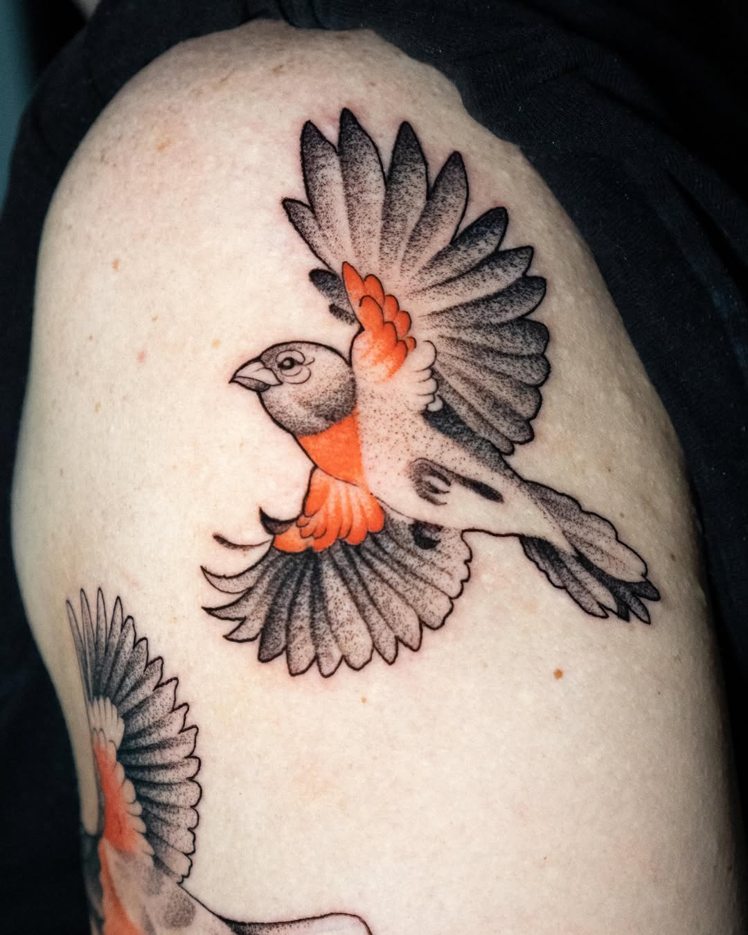 Bird dotwork tattoo on the shoulder by Danny Pando